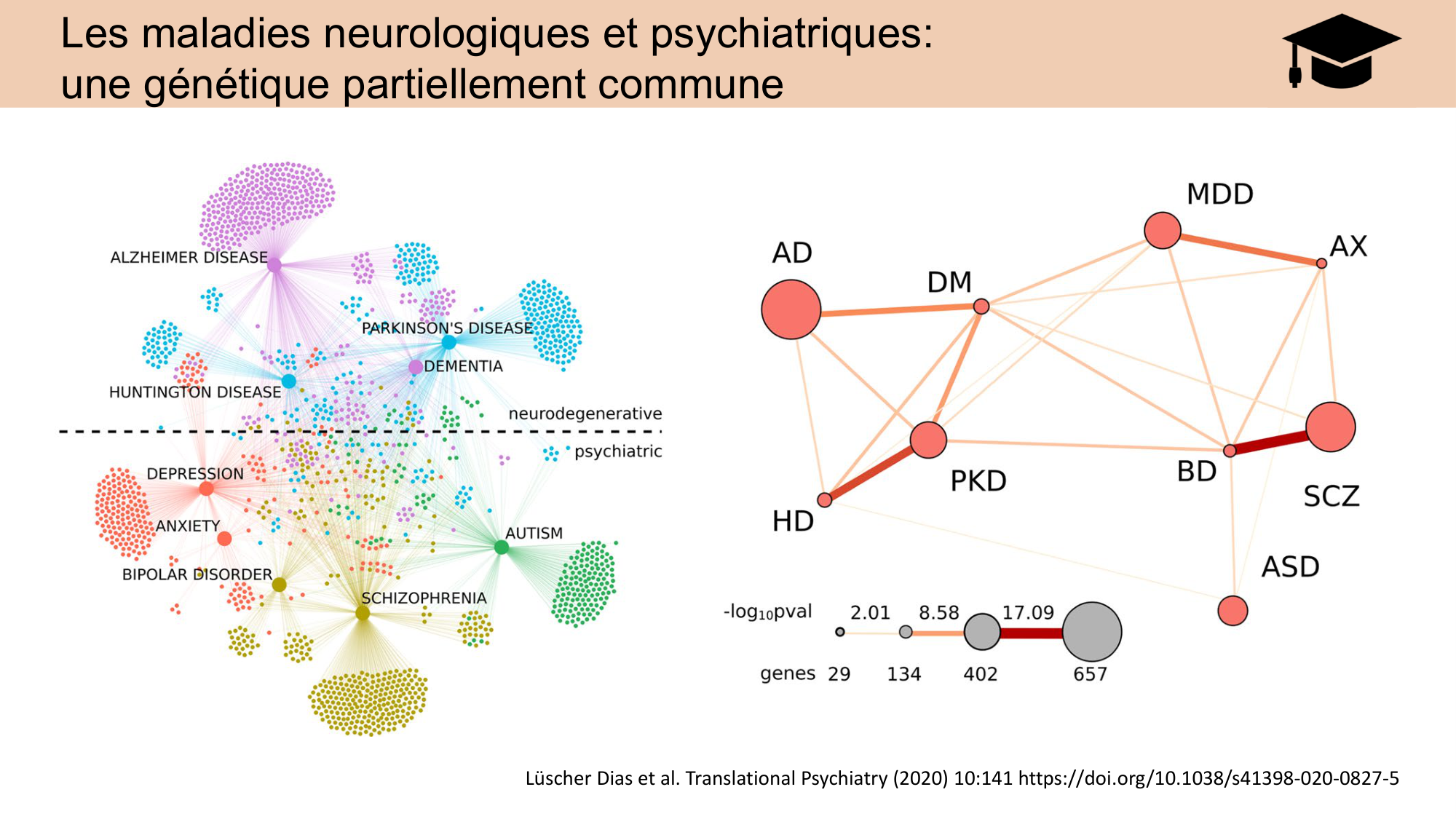 CARLETON JABAUDON cours 2024 etats internes et maladies neurologiques page 13