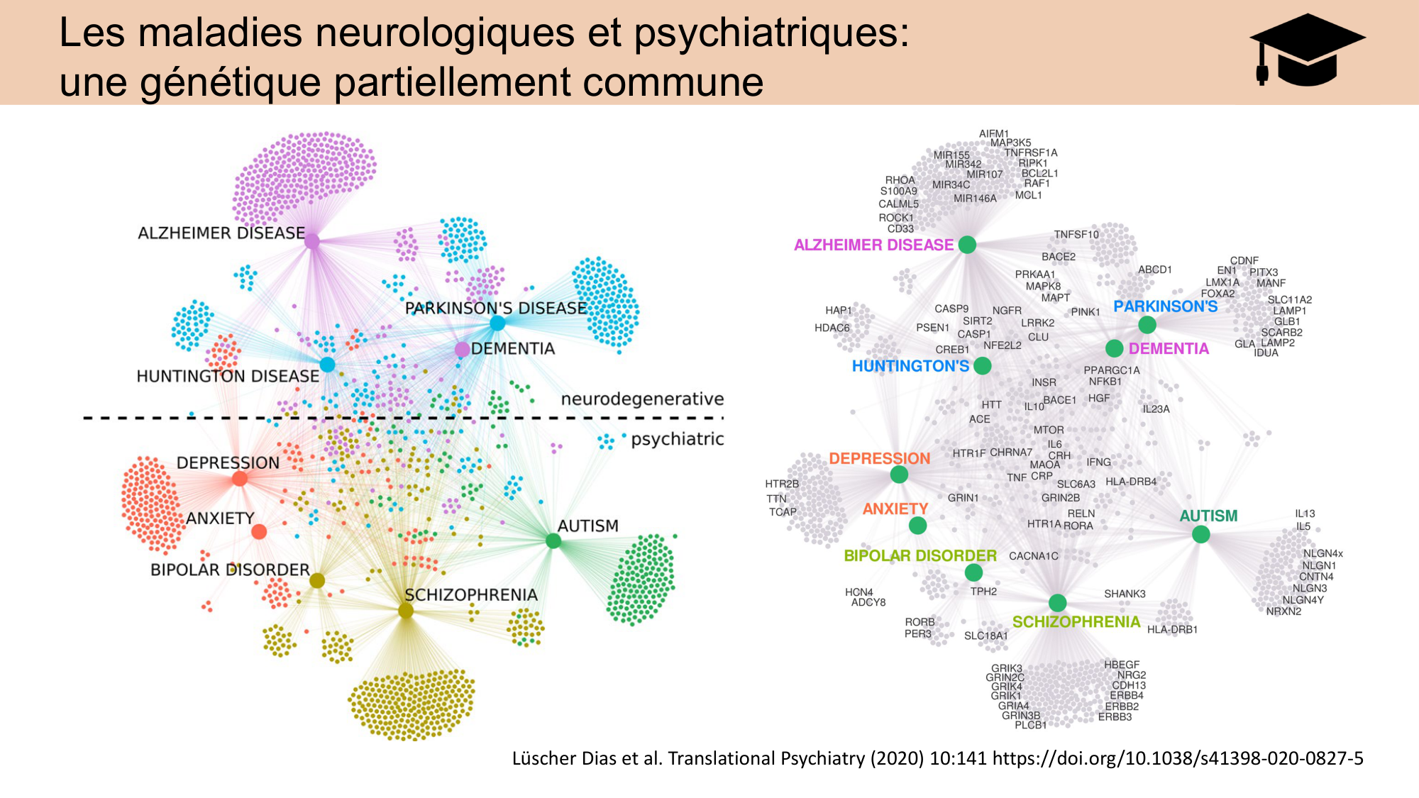 CARLETON JABAUDON cours 2024 etats internes et maladies neurologiques page 14