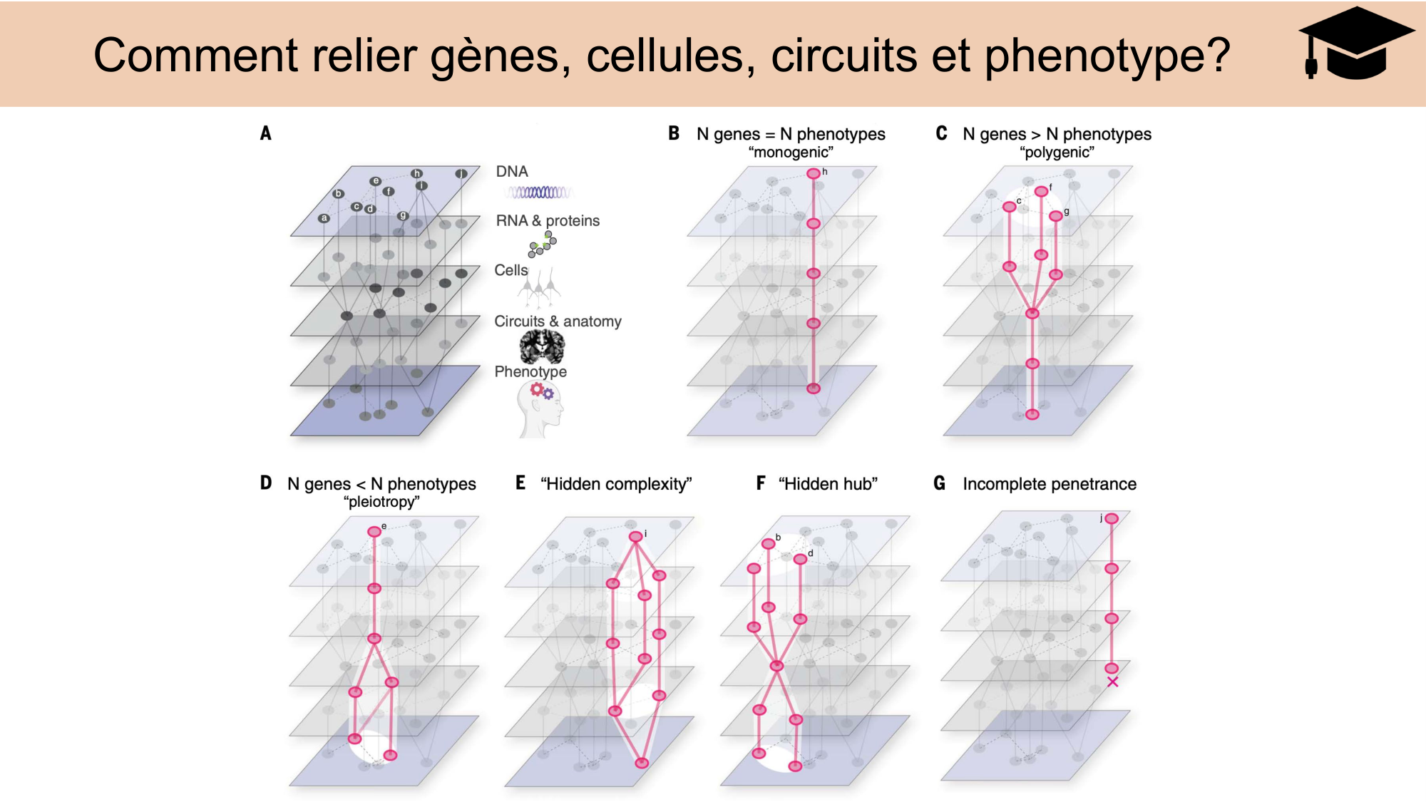 CARLETON JABAUDON cours 2024 etats internes et maladies neurologiques page 15