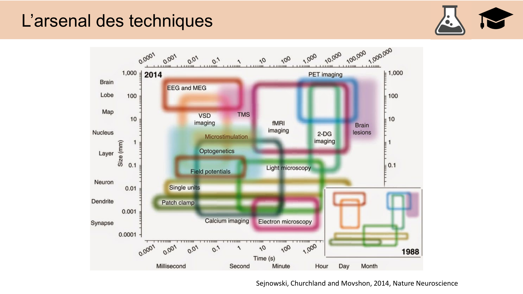 CARLETON JABAUDON cours 2024 etats internes et maladies neurologiques page 16