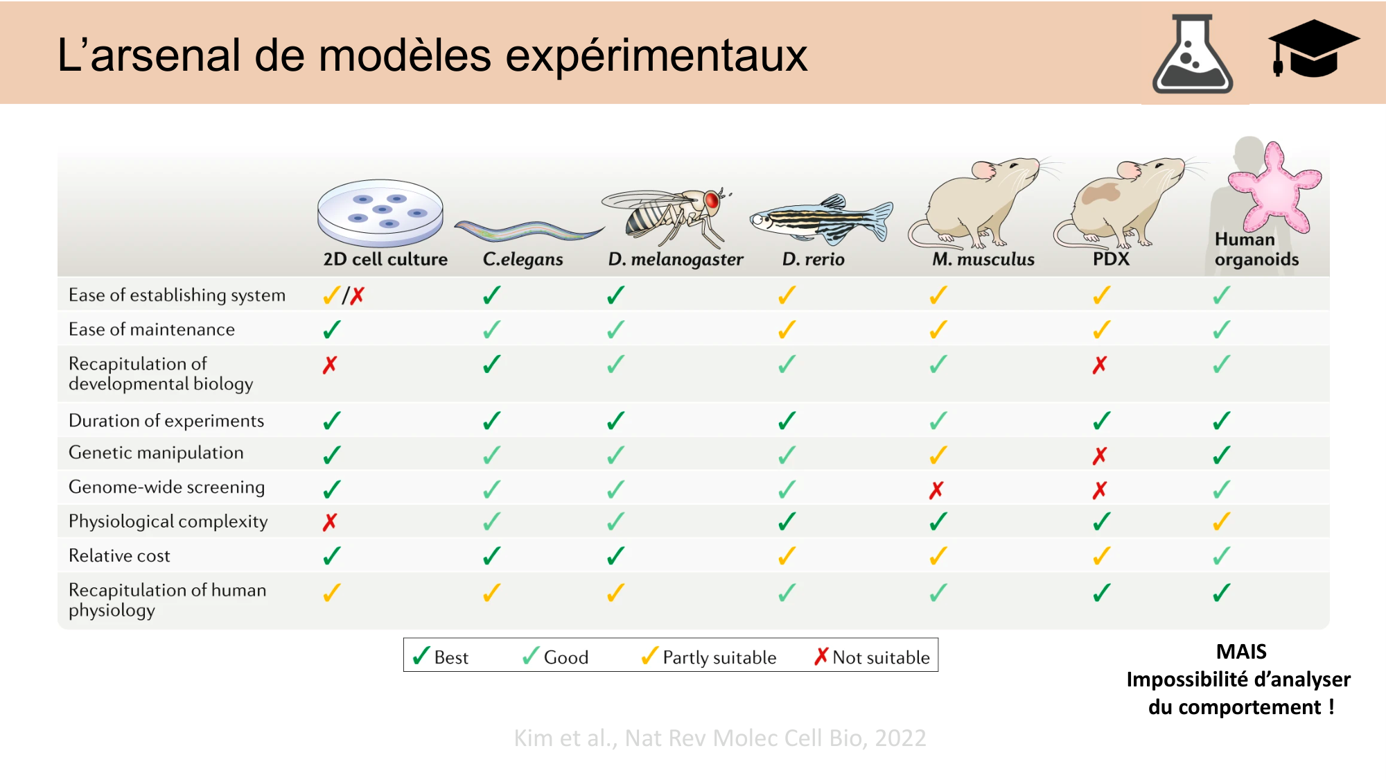 CARLETON JABAUDON cours 2024 etats internes et maladies neurologiques page 17