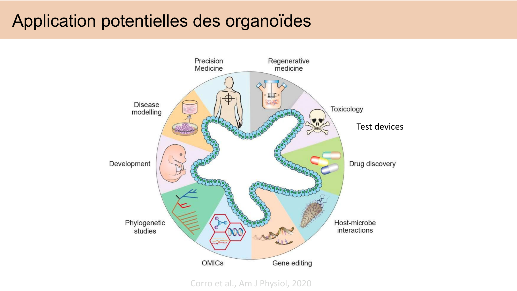 CARLETON JABAUDON cours 2024 etats internes et maladies neurologiques page 19