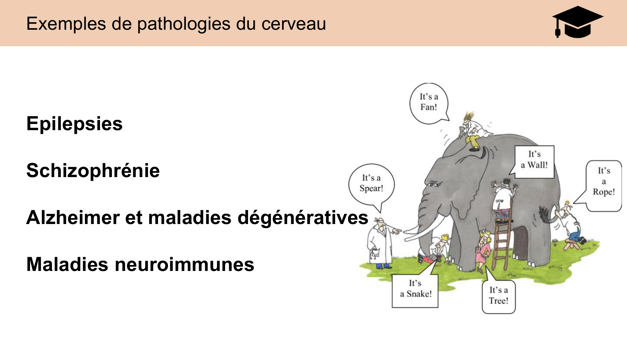 CARLETON JABAUDON cours 2024 etats internes et maladies neurologiques page 22