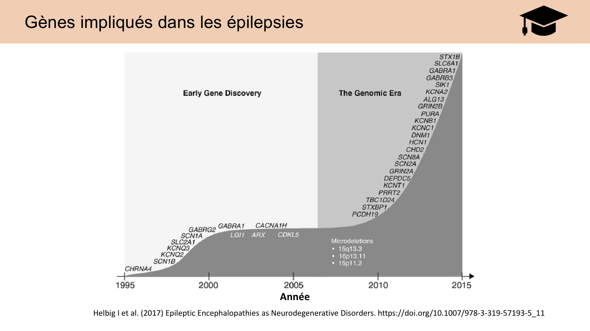 CARLETON JABAUDON cours 2024 etats internes et maladies neurologiques page 25