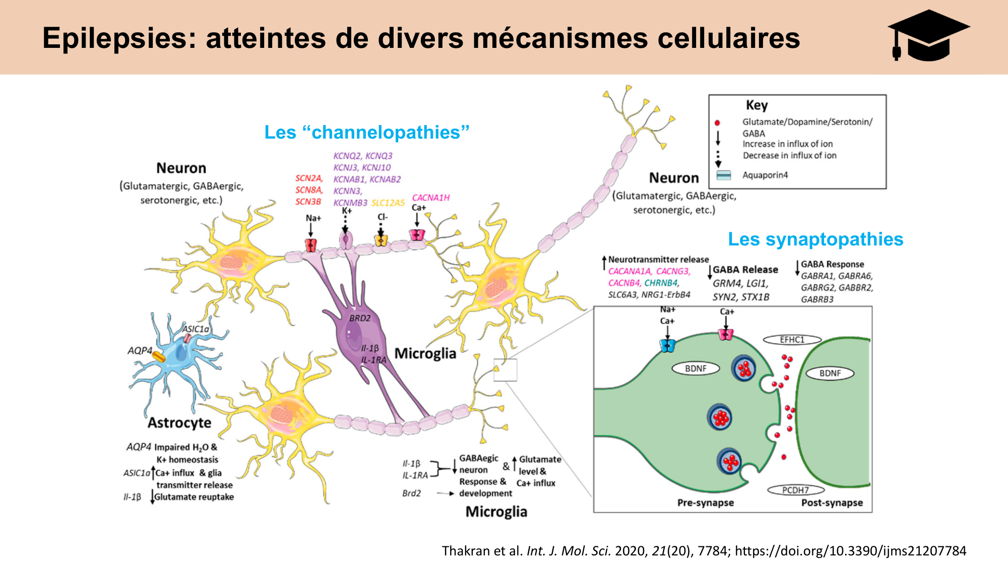 CARLETON JABAUDON cours 2024 etats internes et maladies neurologiques page 26