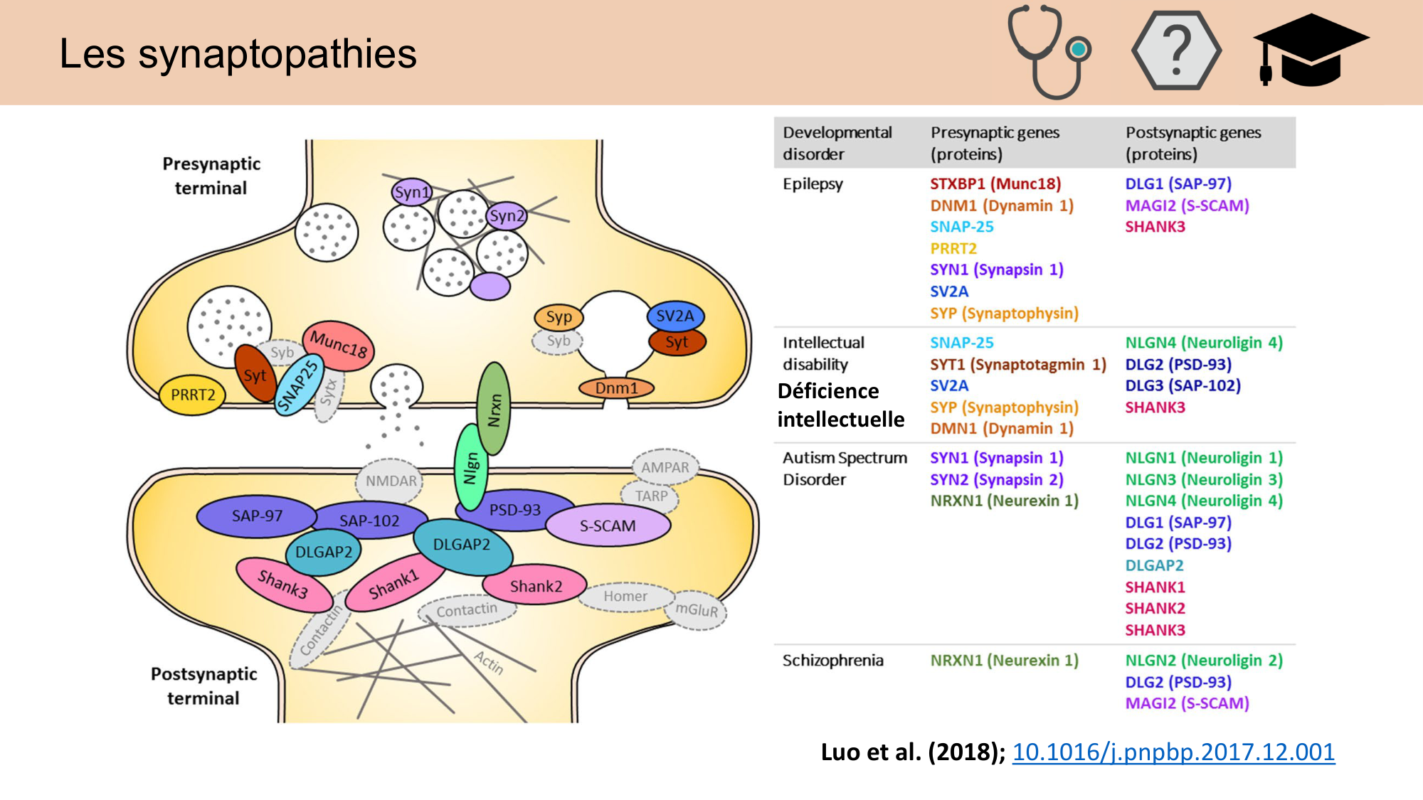CARLETON JABAUDON cours 2024 etats internes et maladies neurologiques page 27