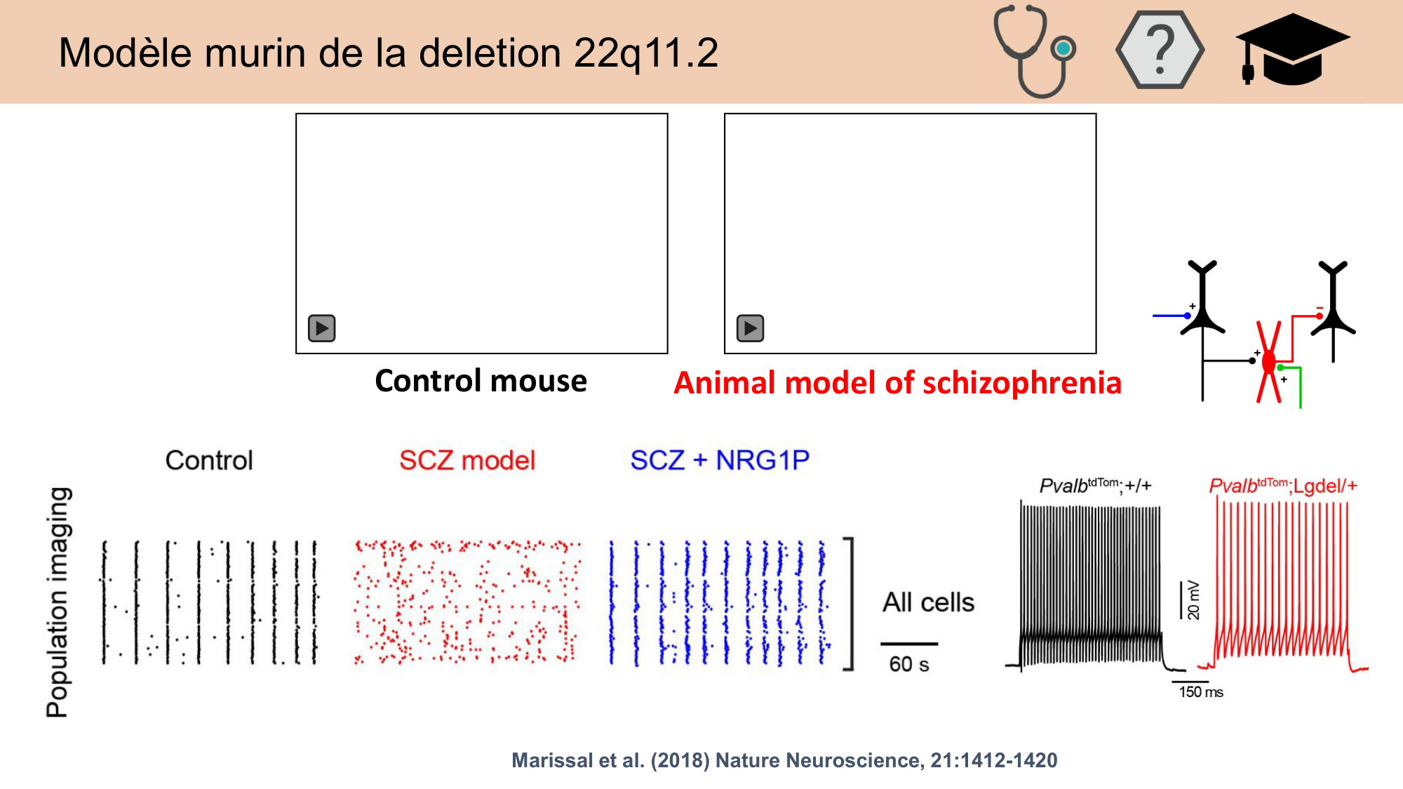 CARLETON JABAUDON cours 2024 etats internes et maladies neurologiques page 30