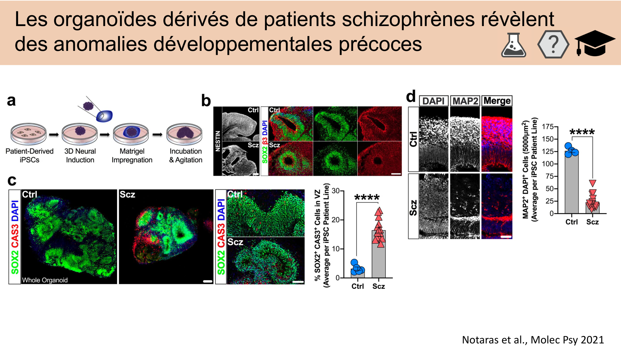 CARLETON JABAUDON cours 2024 etats internes et maladies neurologiques page 31