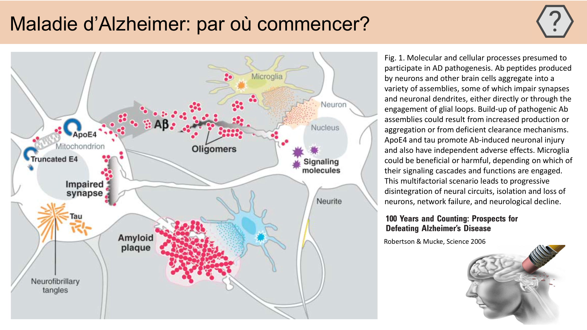 CARLETON JABAUDON cours 2024 etats internes et maladies neurologiques page 34
