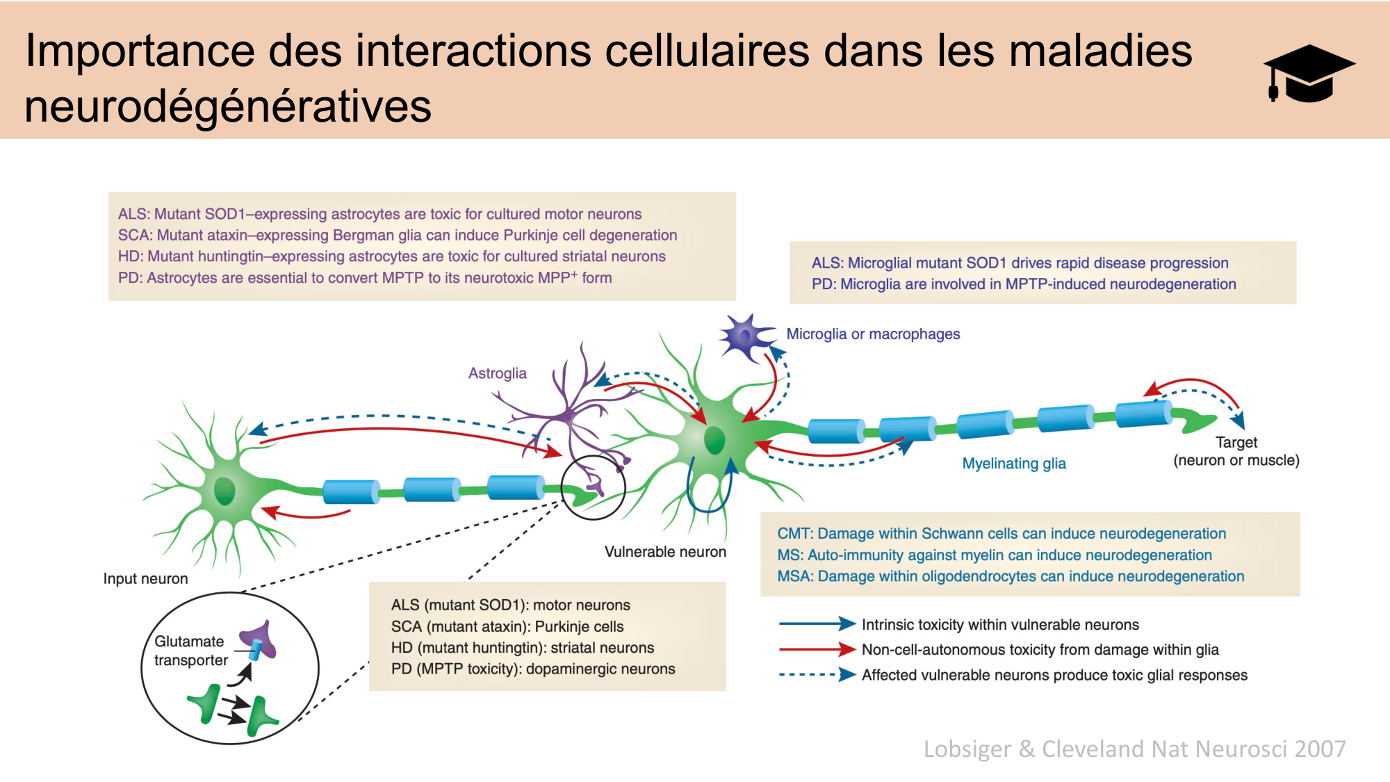 CARLETON JABAUDON cours 2024 etats internes et maladies neurologiques page 35