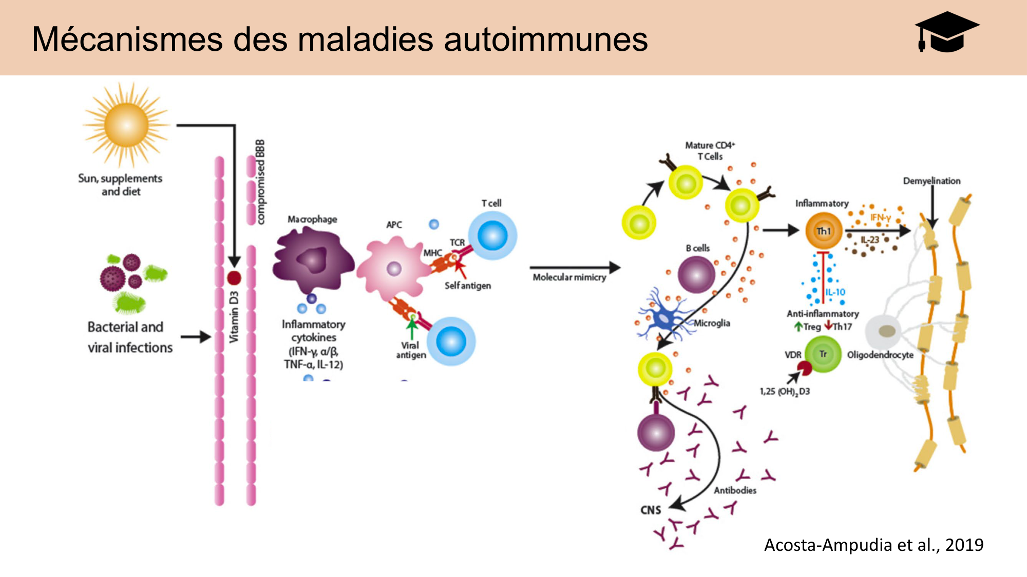 CARLETON JABAUDON cours 2024 etats internes et maladies neurologiques page 39