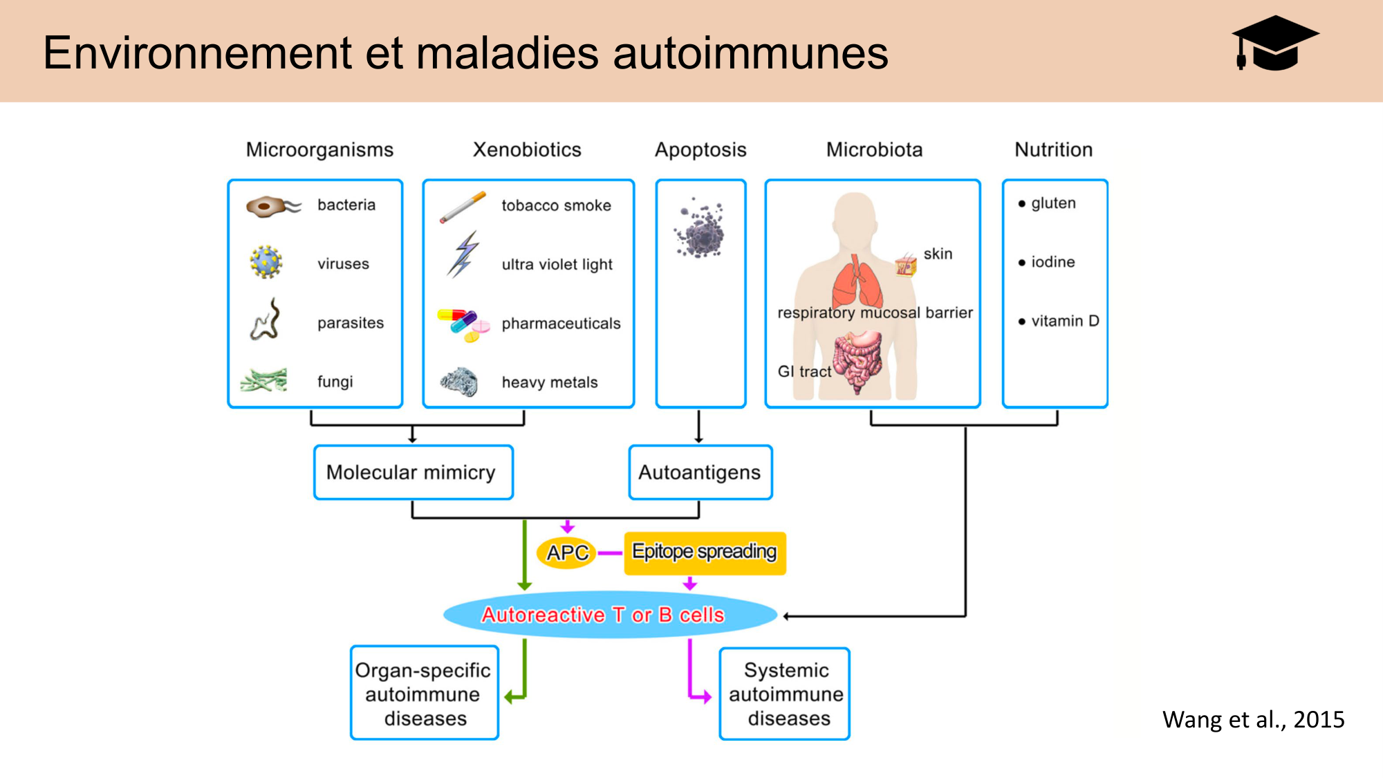 CARLETON JABAUDON cours 2024 etats internes et maladies neurologiques page 40