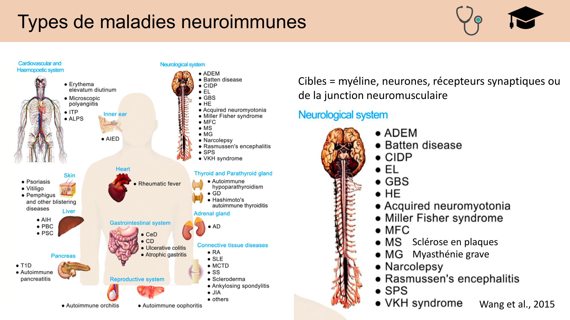 CARLETON JABAUDON cours 2024 etats internes et maladies neurologiques page 41