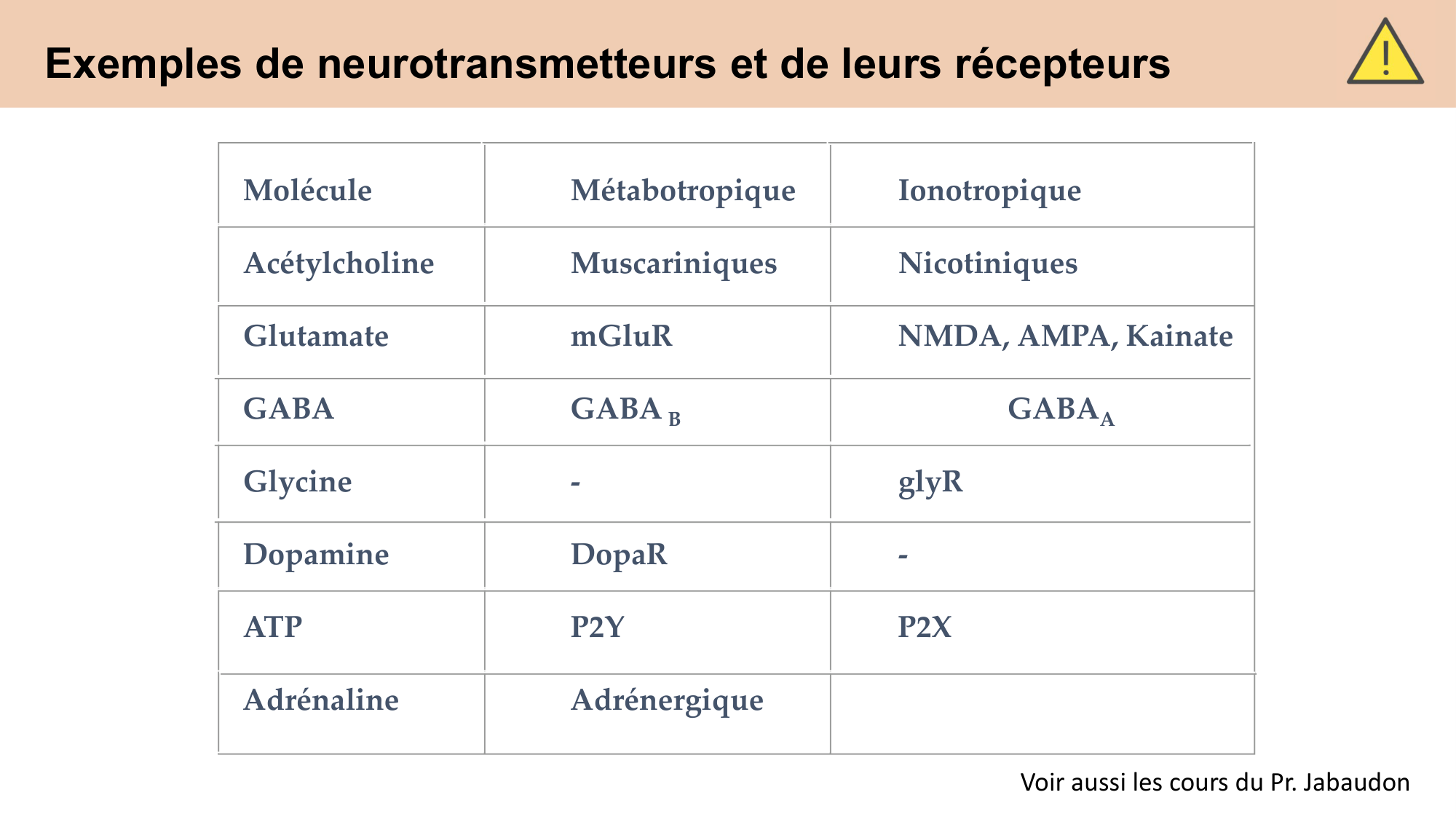 CARLETON cours 2025 Transmission Synaptique Plasticité 1 page 17