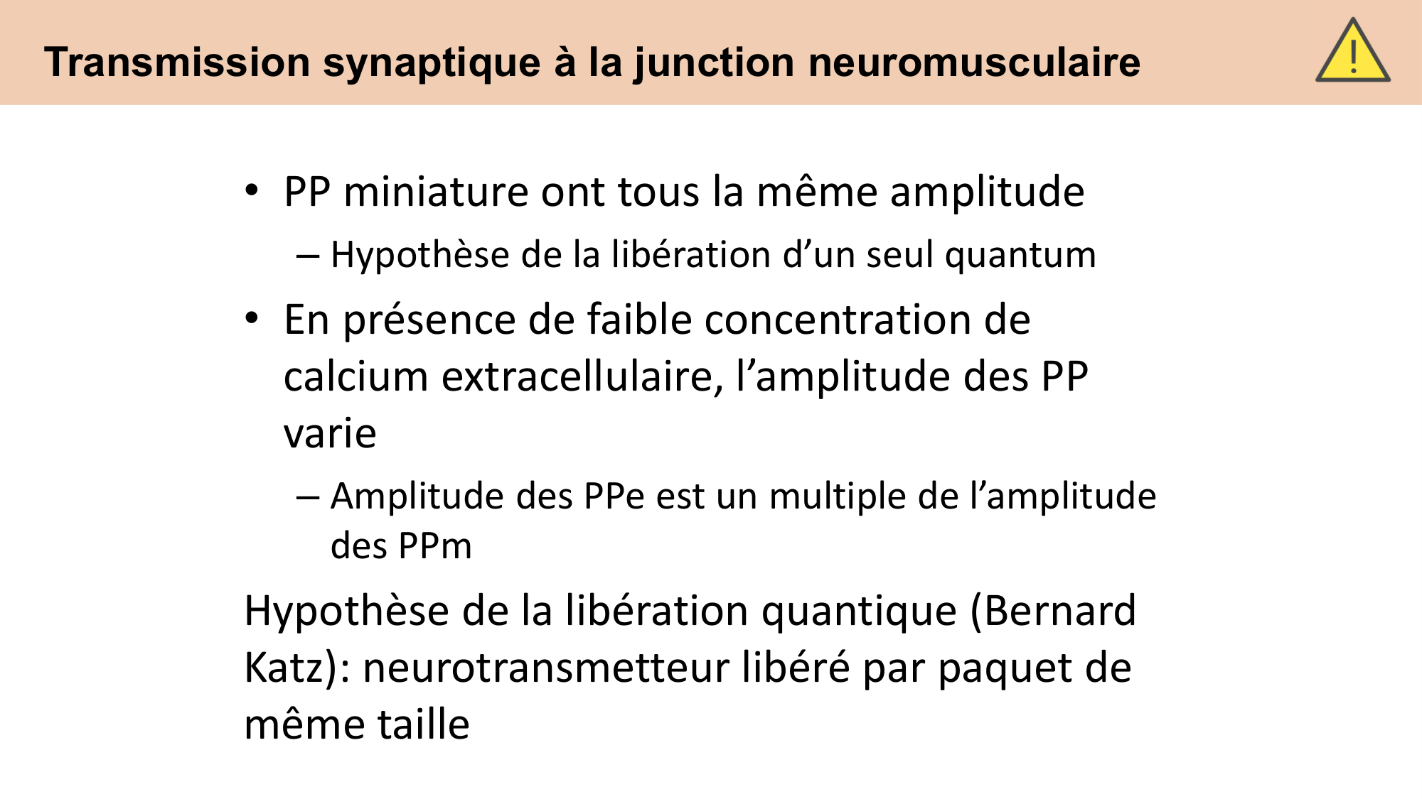 CARLETON cours 2025 Transmission Synaptique Plasticité 1 page 29