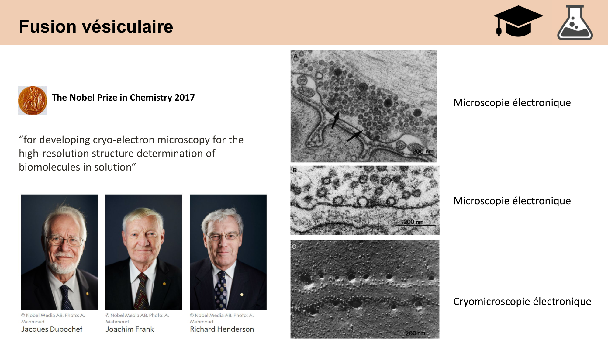CARLETON cours 2025 Transmission Synaptique Plasticité 1 page 30