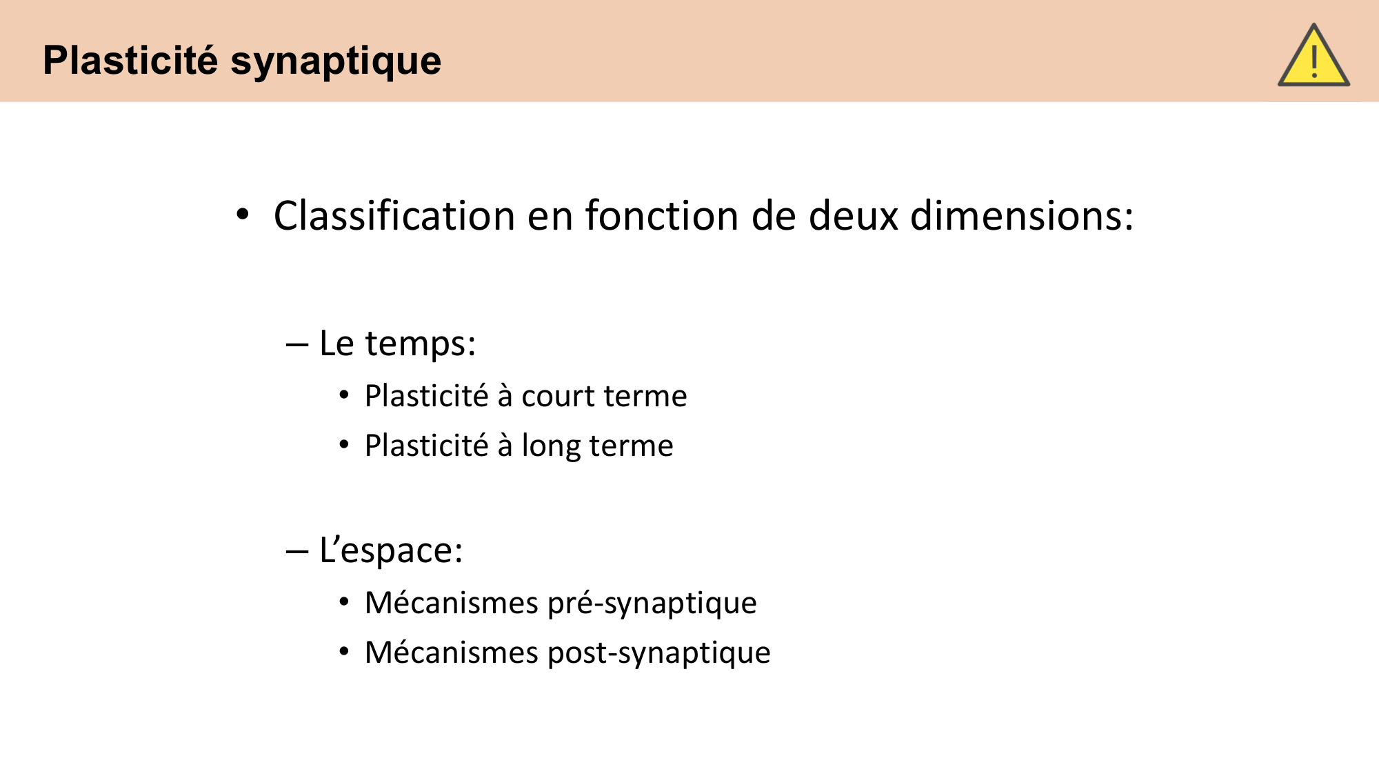CARLETON cours 2025 Transmission Synaptique Plasticité 2 page 4