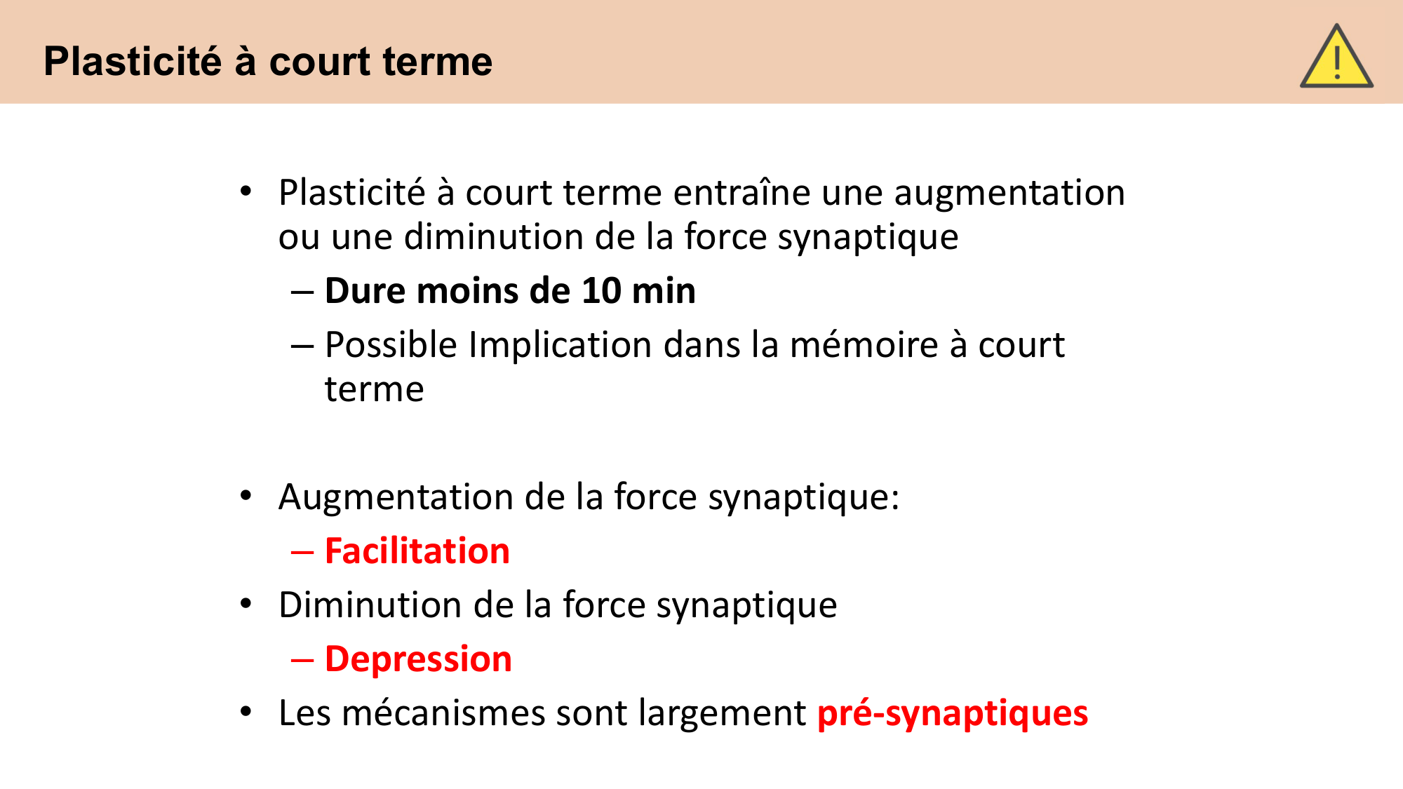 CARLETON cours 2025 Transmission Synaptique Plasticité 2 page 5