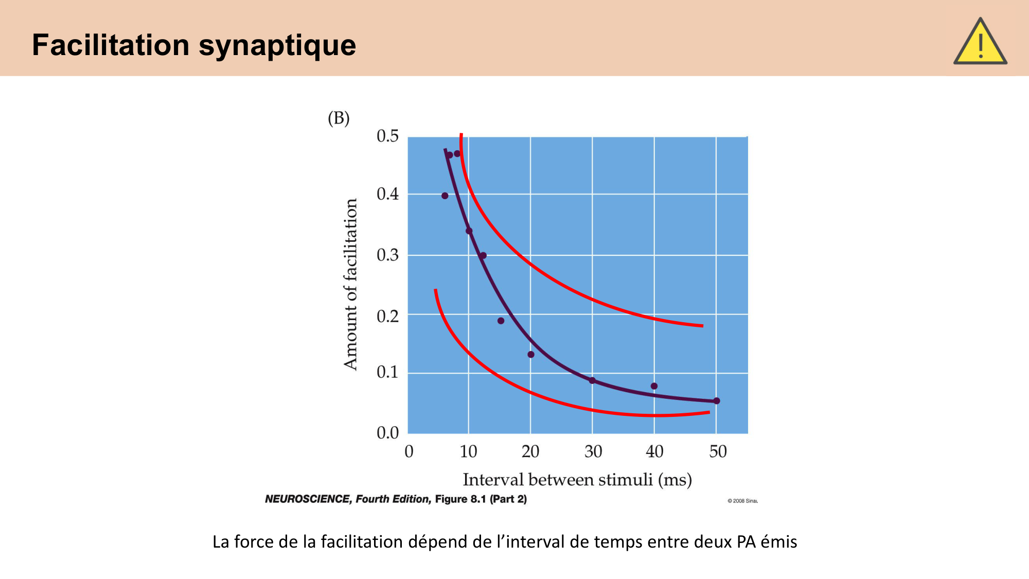 CARLETON cours 2025 Transmission Synaptique Plasticité 2 page 7