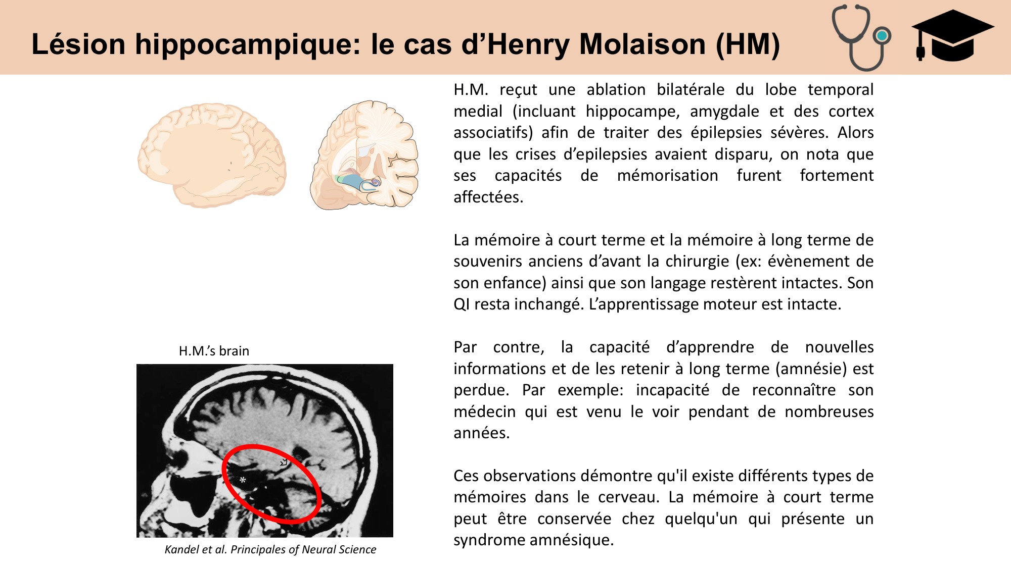CARLETON cours 2025 Transmission Synaptique Plasticité 2 page 12