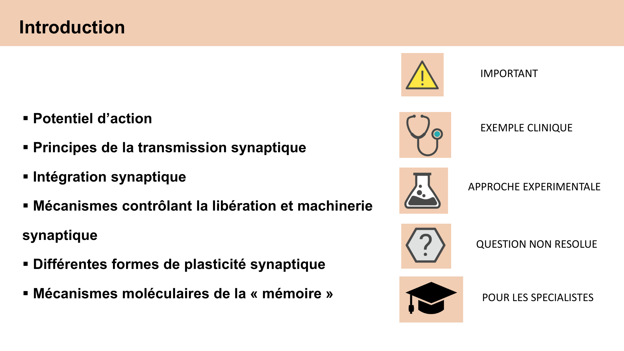cours cellules nerveuses diversite et fonctions CARLETON 2025 page 2
