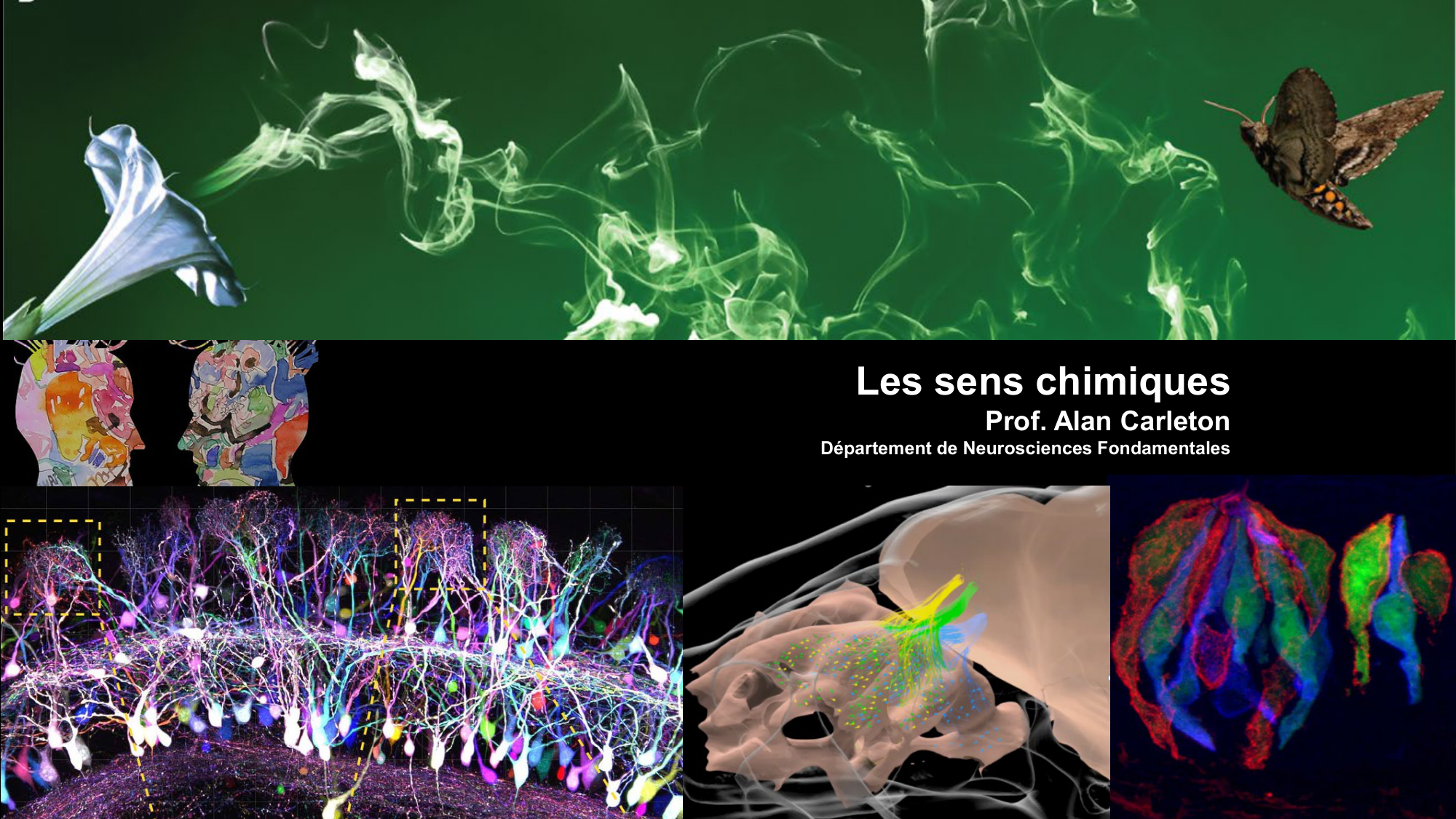 cours sens chimiques CARLETON 2025 page 1