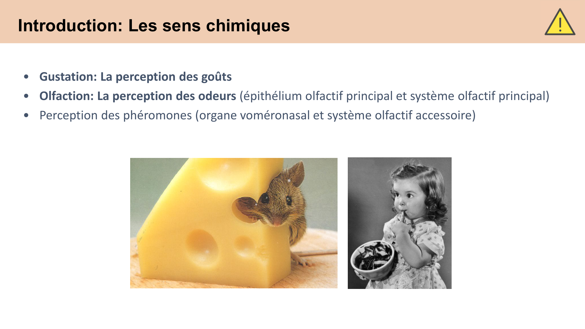 cours sens chimiques CARLETON 2025 page 2