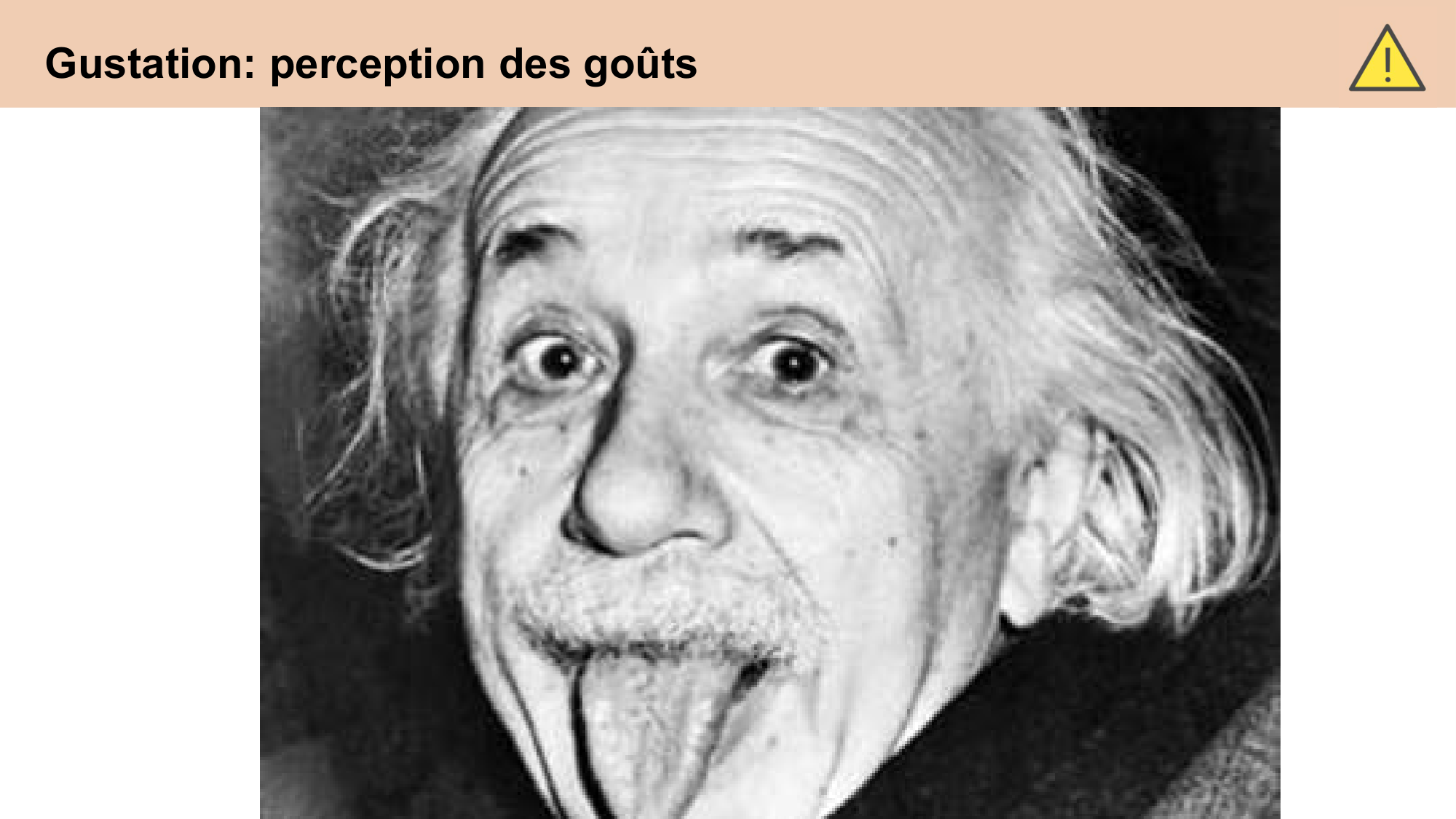 cours sens chimiques CARLETON 2025 page 3