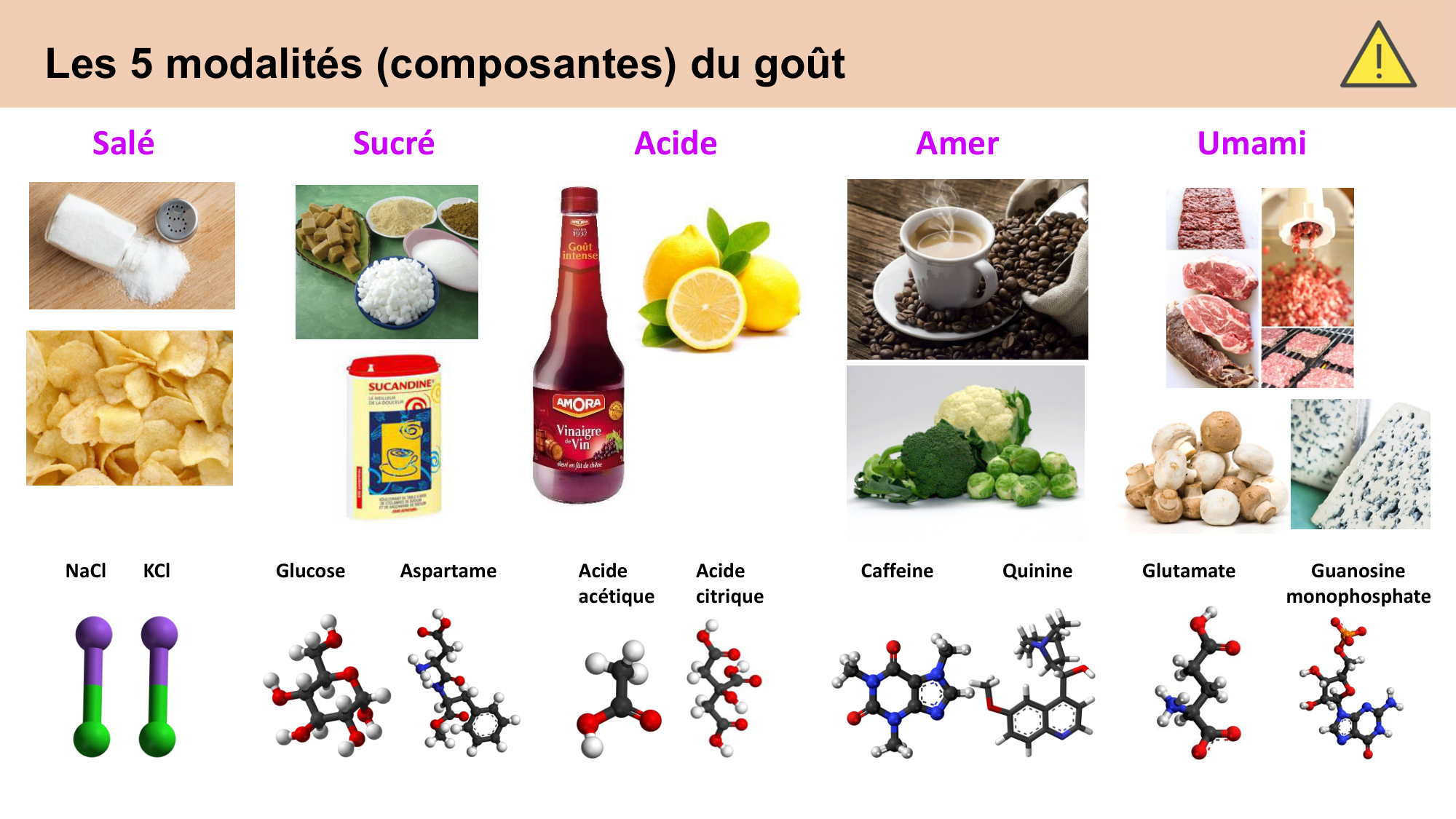 cours sens chimiques CARLETON 2025 page 5