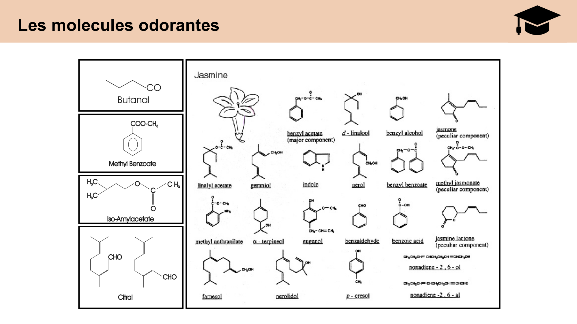 cours sens chimiques CARLETON 2025 page 17