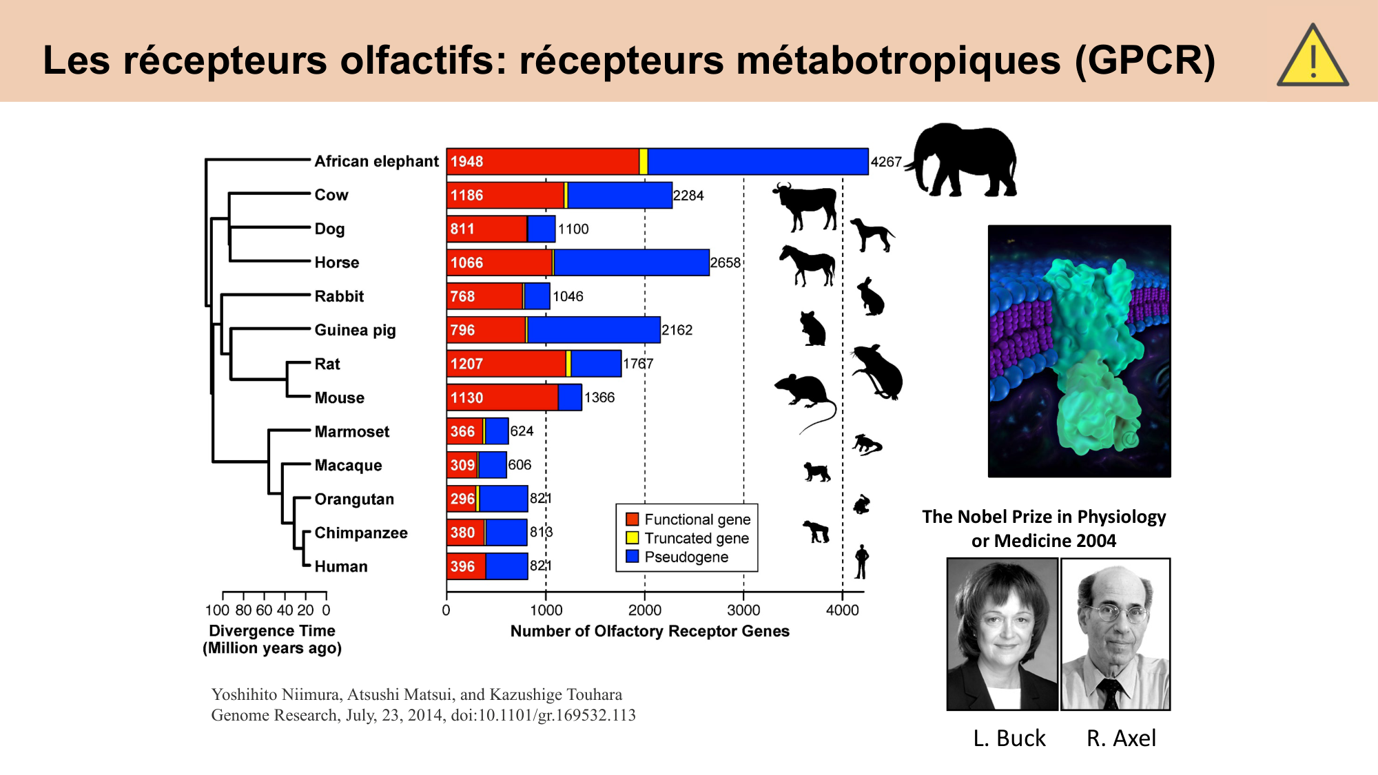 cours sens chimiques CARLETON 2025 page 18