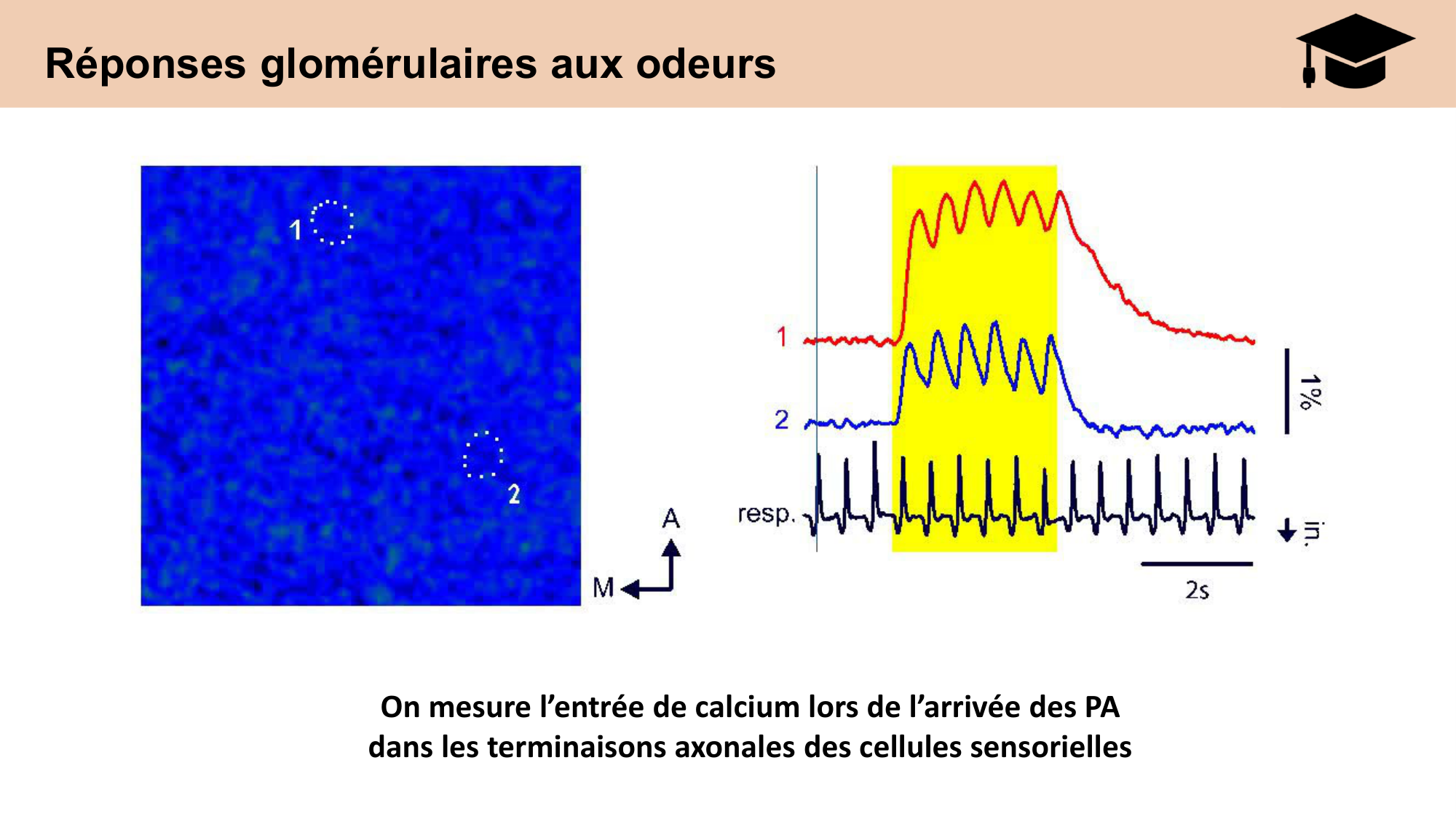 cours sens chimiques CARLETON 2025 page 23