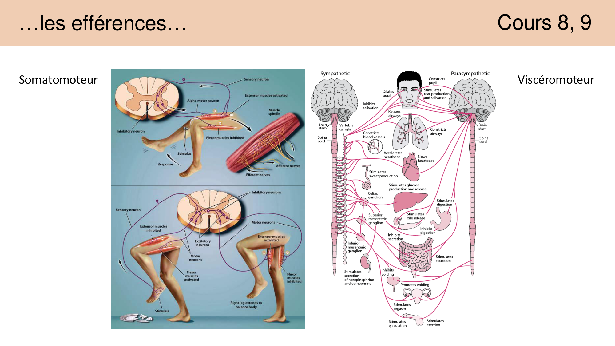 Jabaudon Cours 1 page 11