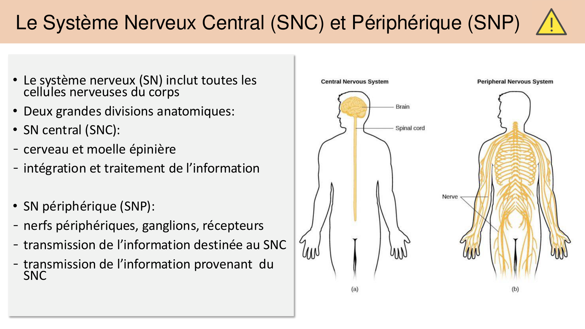 Jabaudon Cours 1 page 22