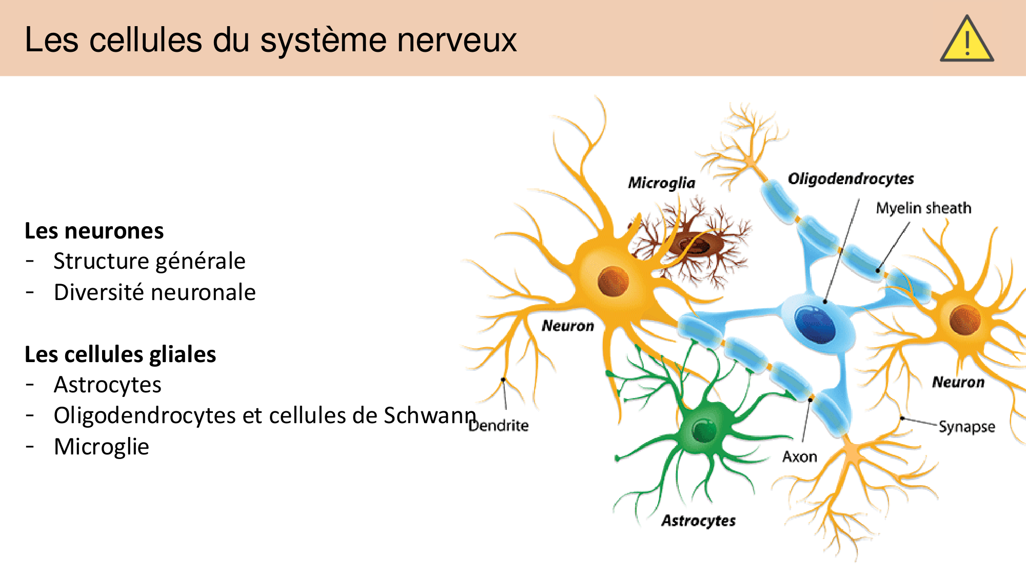 Jabaudon Cours 1 page 26