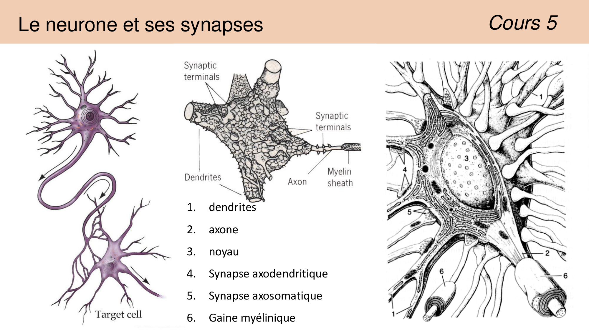 Jabaudon Cours 1 page 30