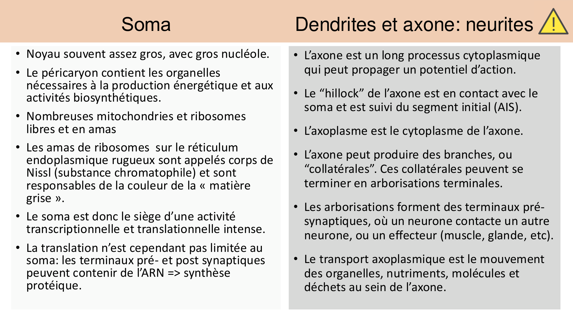 Jabaudon Cours 1 page 32