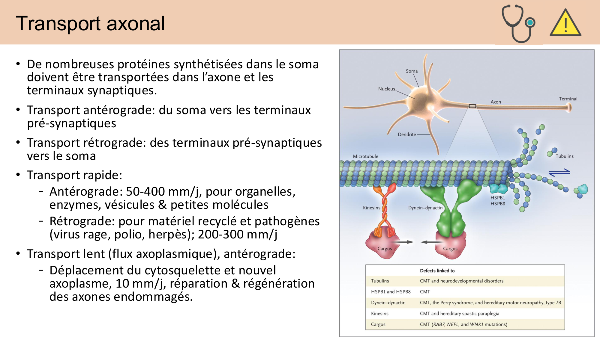 Jabaudon Cours 1 page 34