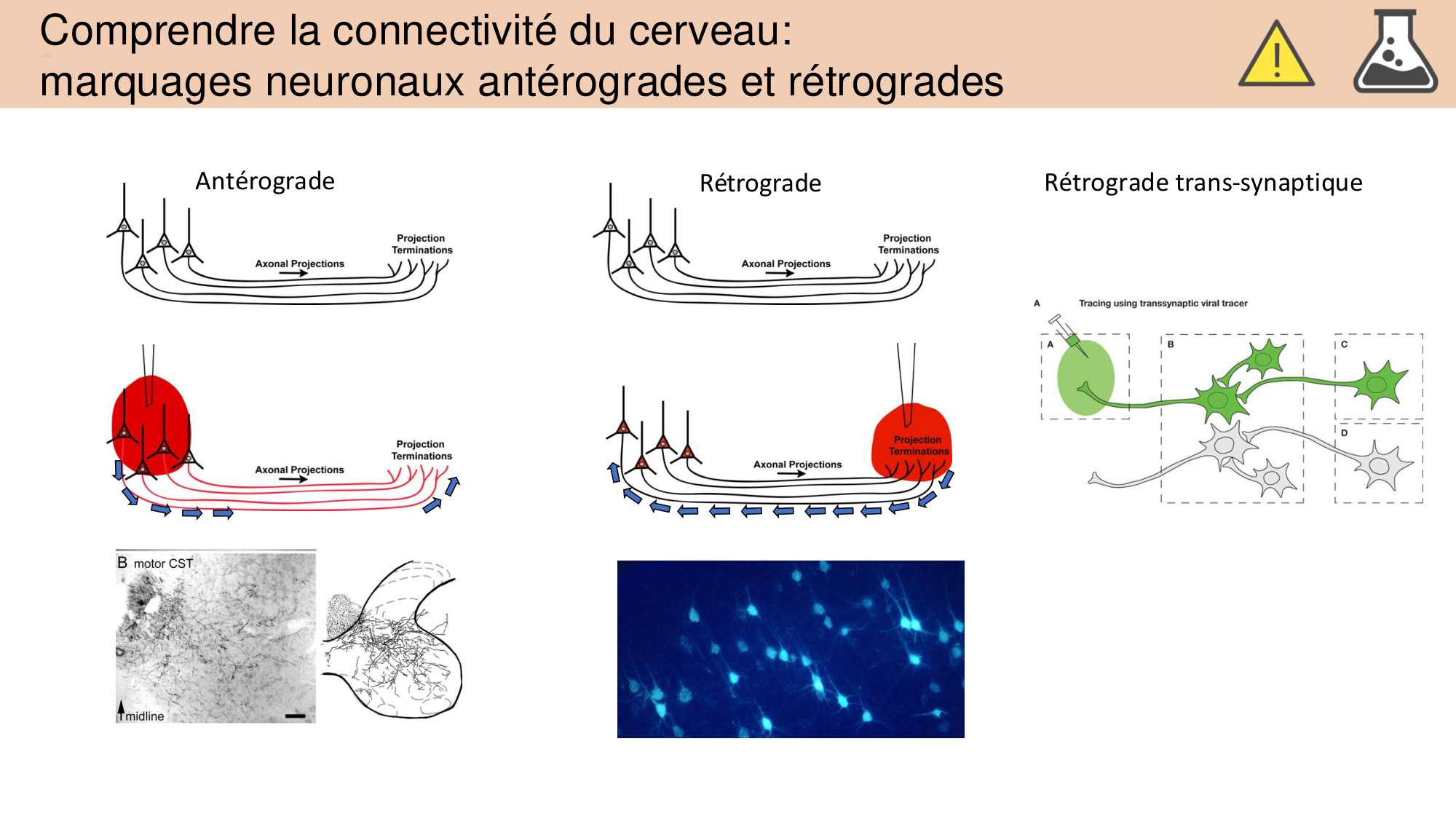 Jabaudon Cours 1 page 37