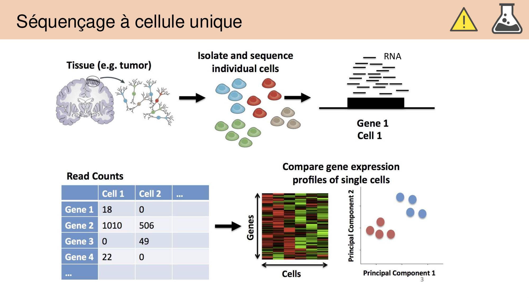 Jabaudon Cours 1 page 41