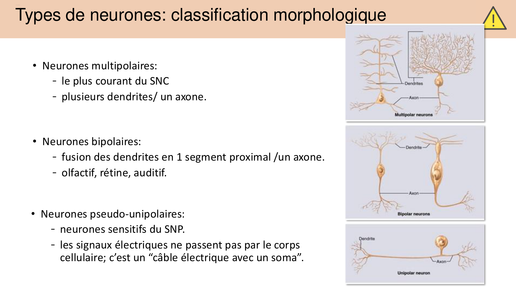 Jabaudon Cours 1 page 45