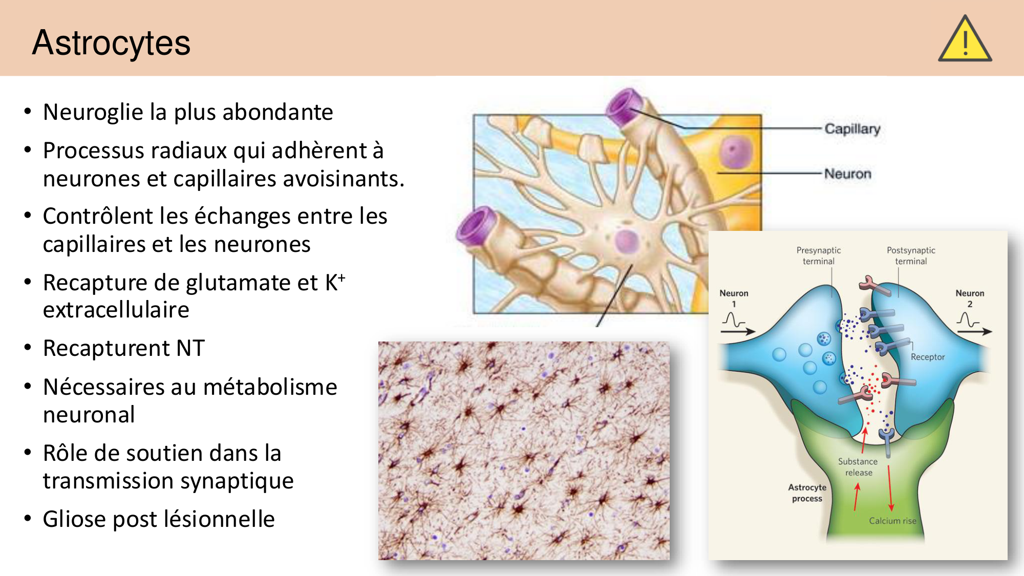 Jabaudon Cours 1 page 48