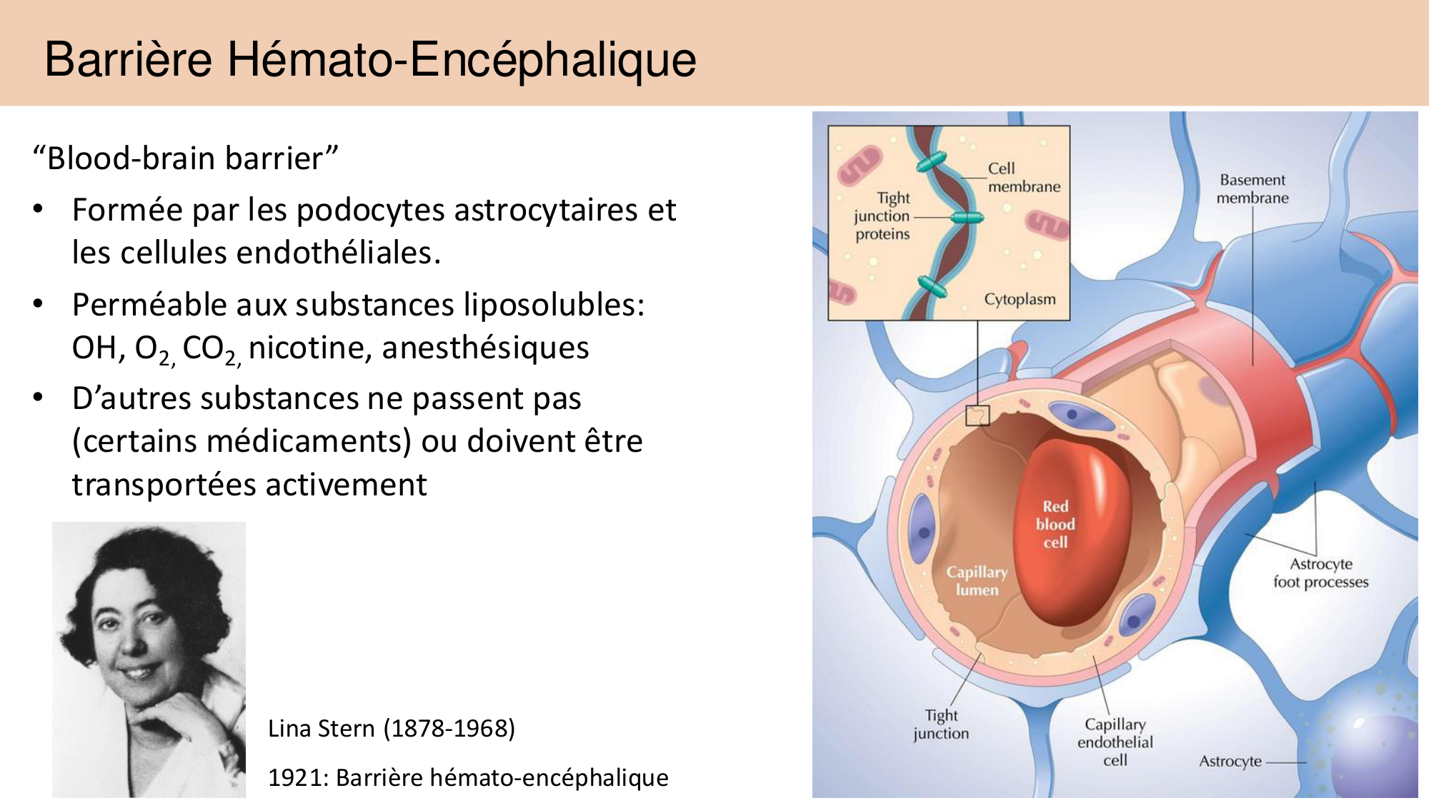 Jabaudon Cours 1 page 49
