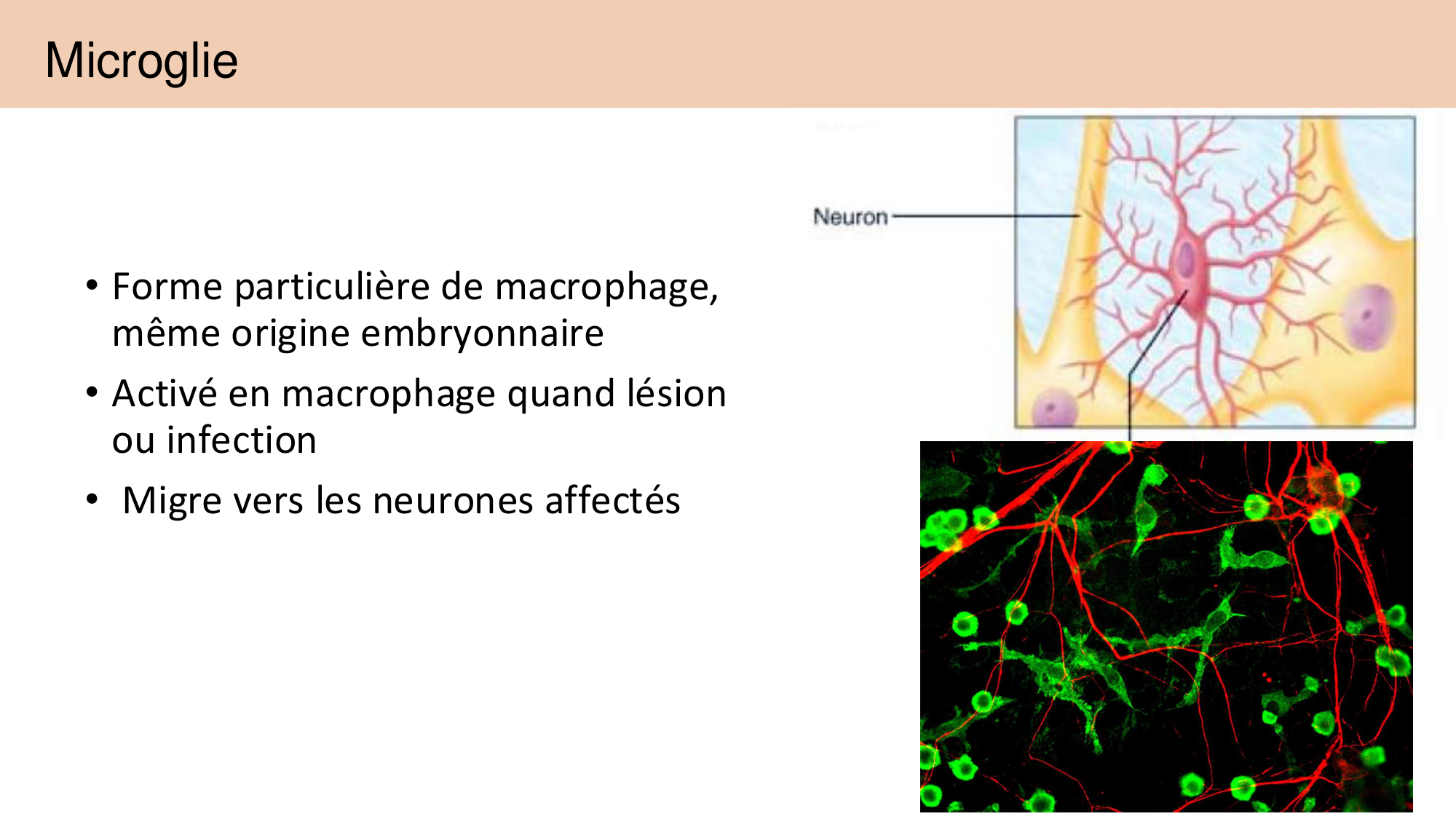 Jabaudon Cours 1 page 57