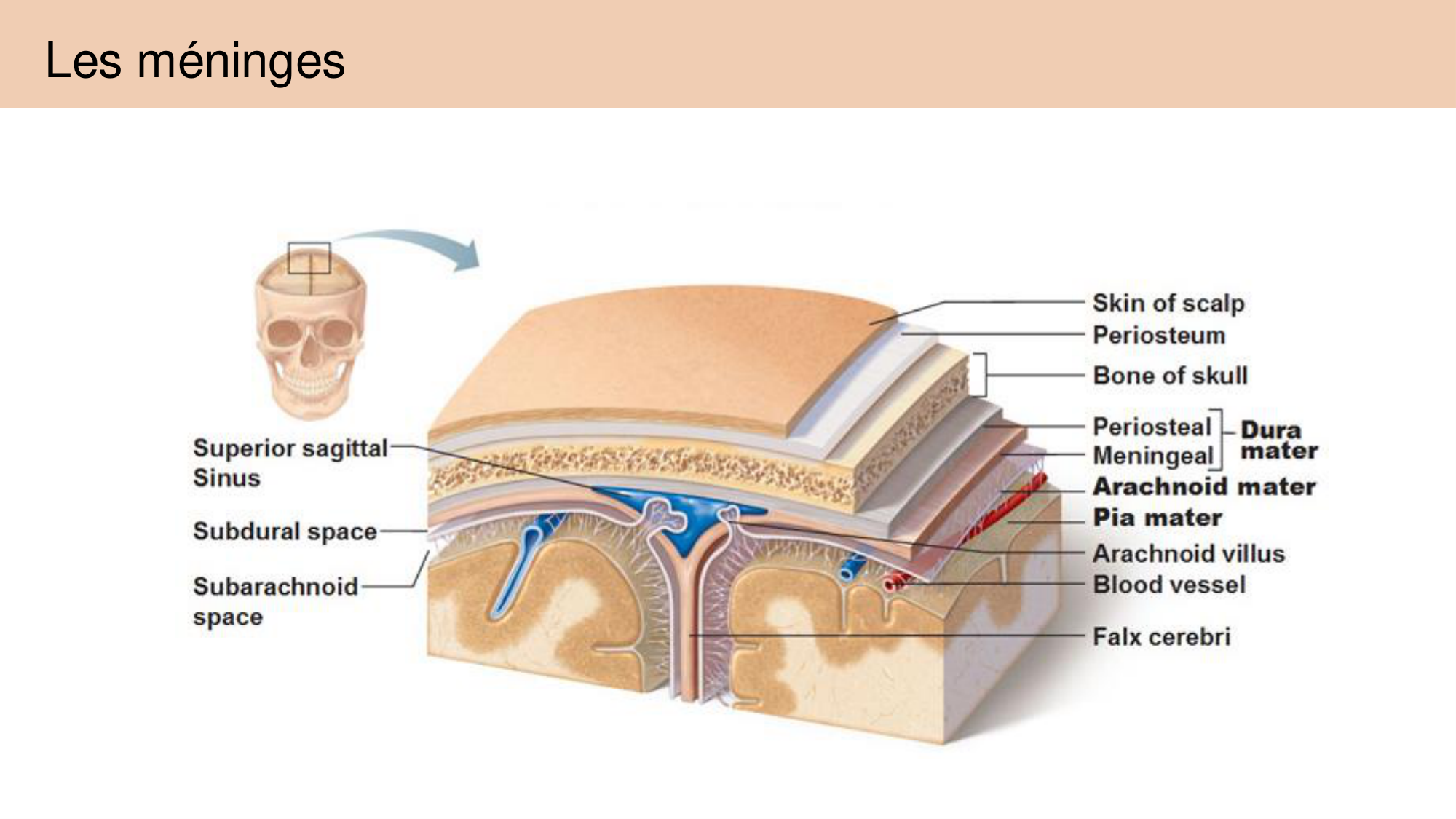 Jabaudon Cours 1 page 59