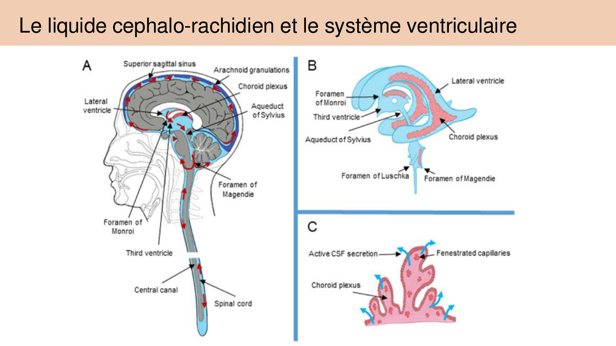 Jabaudon Cours 1 page 60