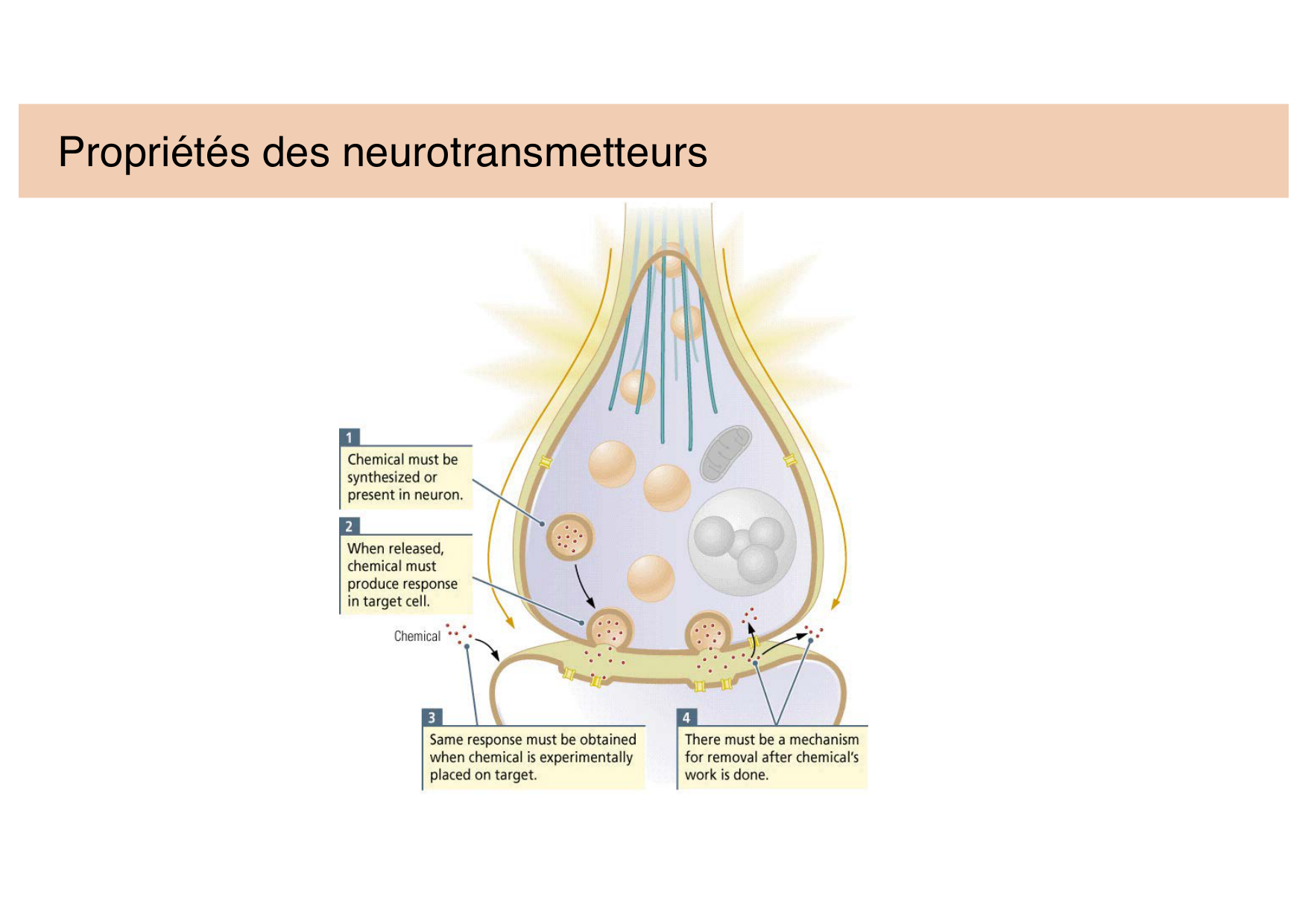 Jabaudon Cours 2 page 4