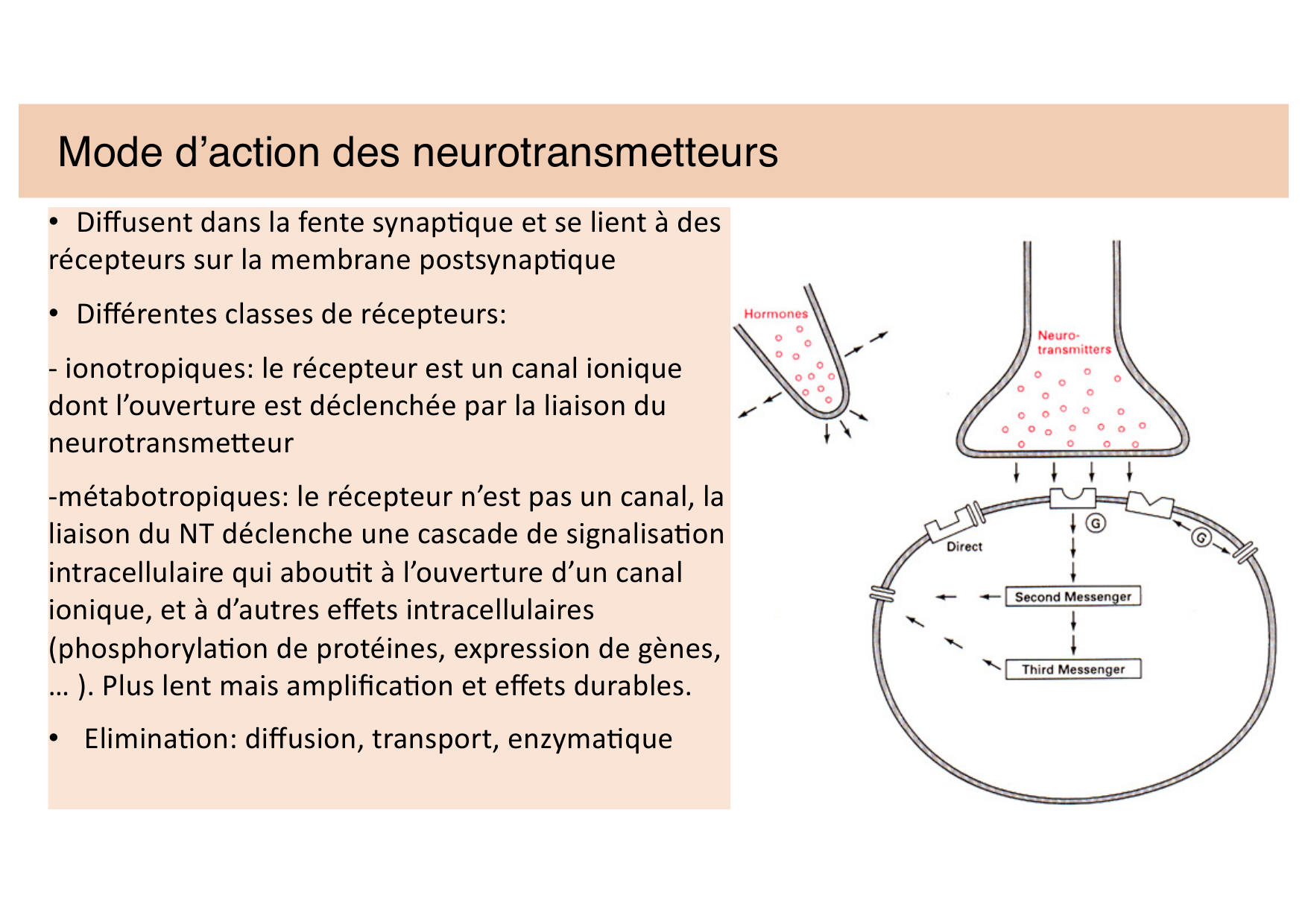Jabaudon Cours 2 page 5