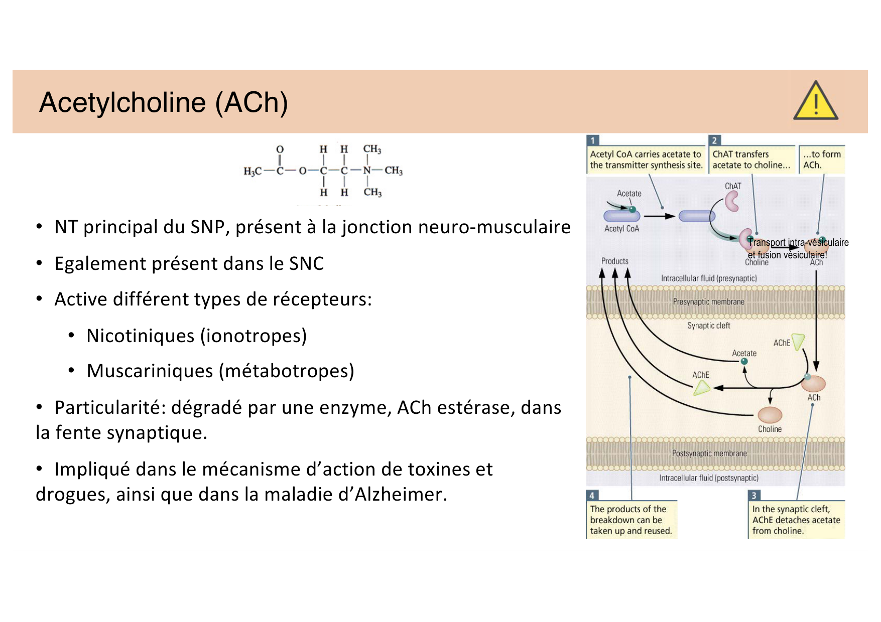 Jabaudon Cours 2 page 9