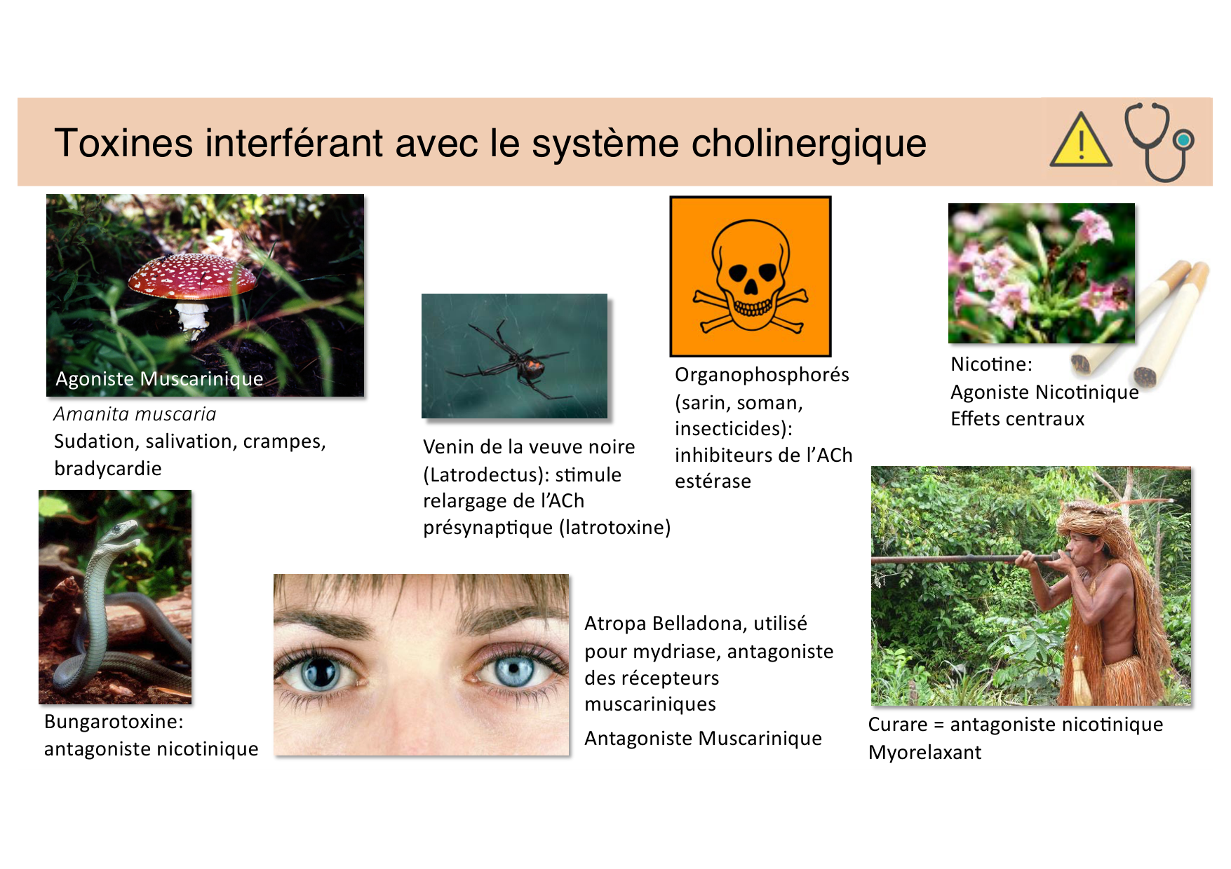 Jabaudon Cours 2 page 15